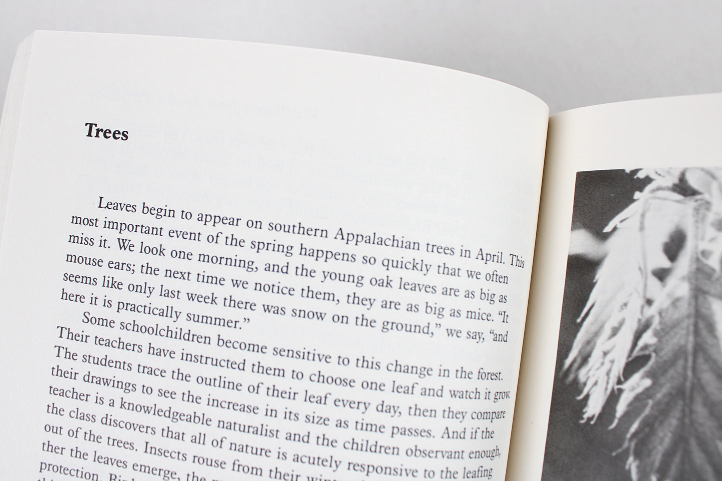 A Naturalist's Blue Ridge Parkway