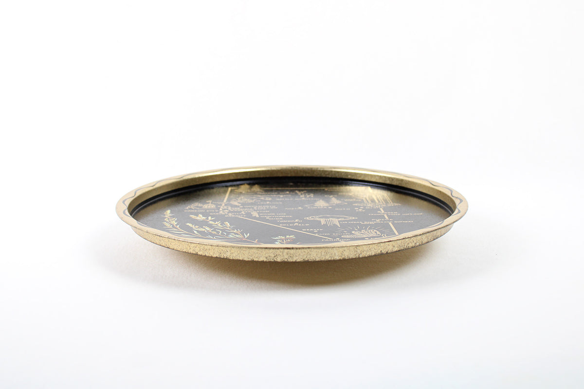 Nevada Souvenir Metal Serving Tray