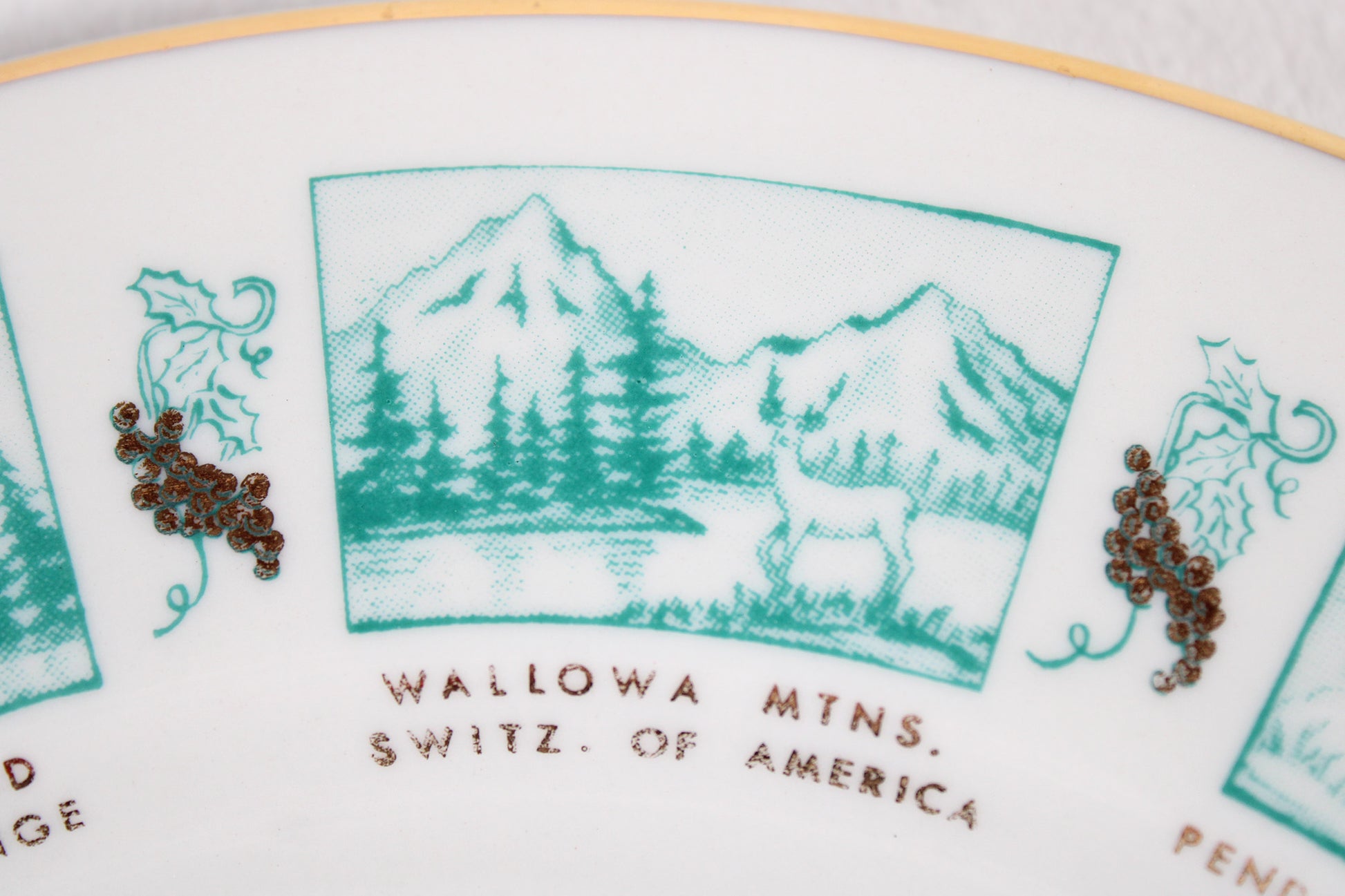 Oregon Pacific Wonderland Souvenir Plate