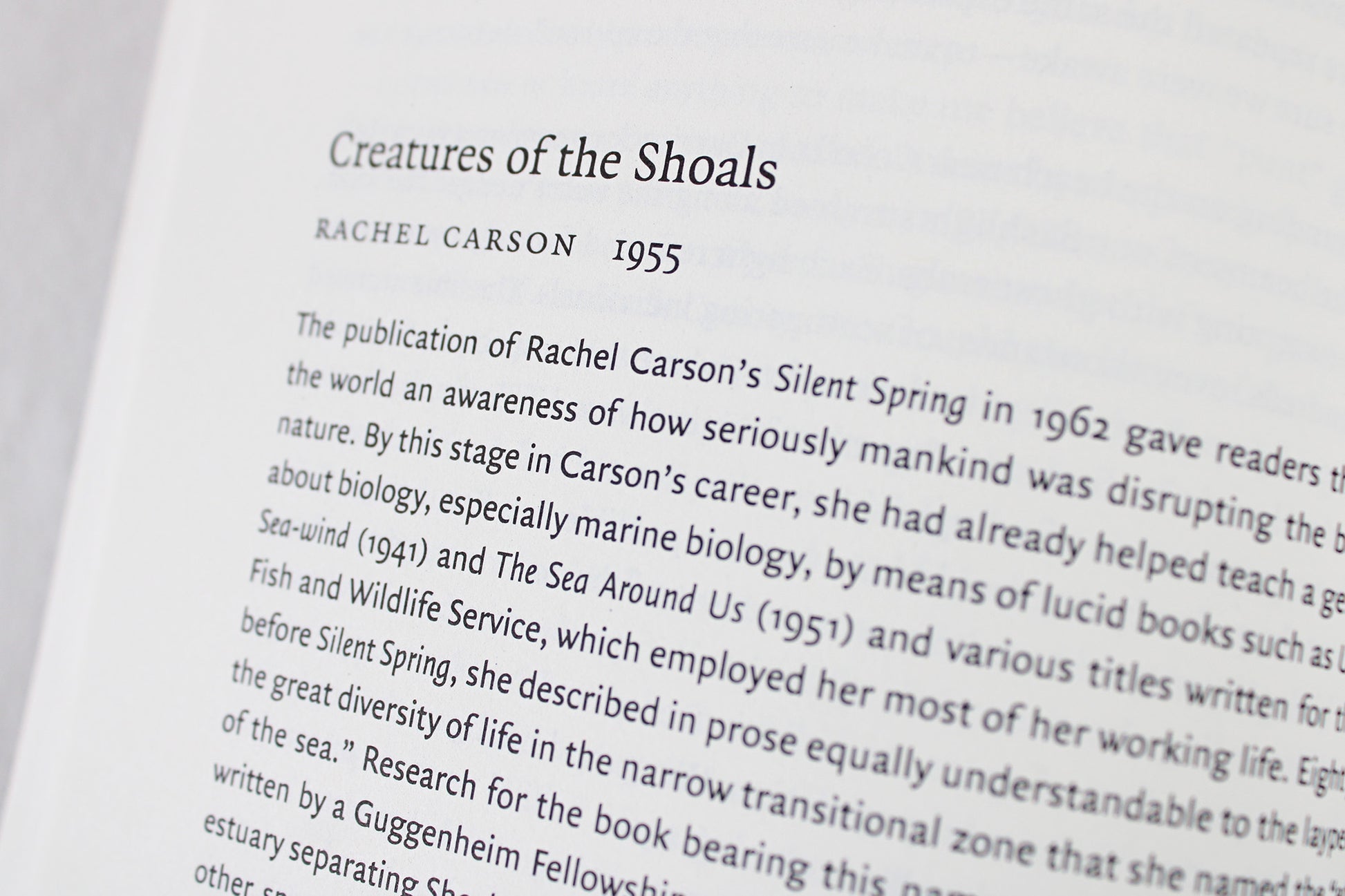 An Outer Banks (OBX) Reader, ed. by David Stick