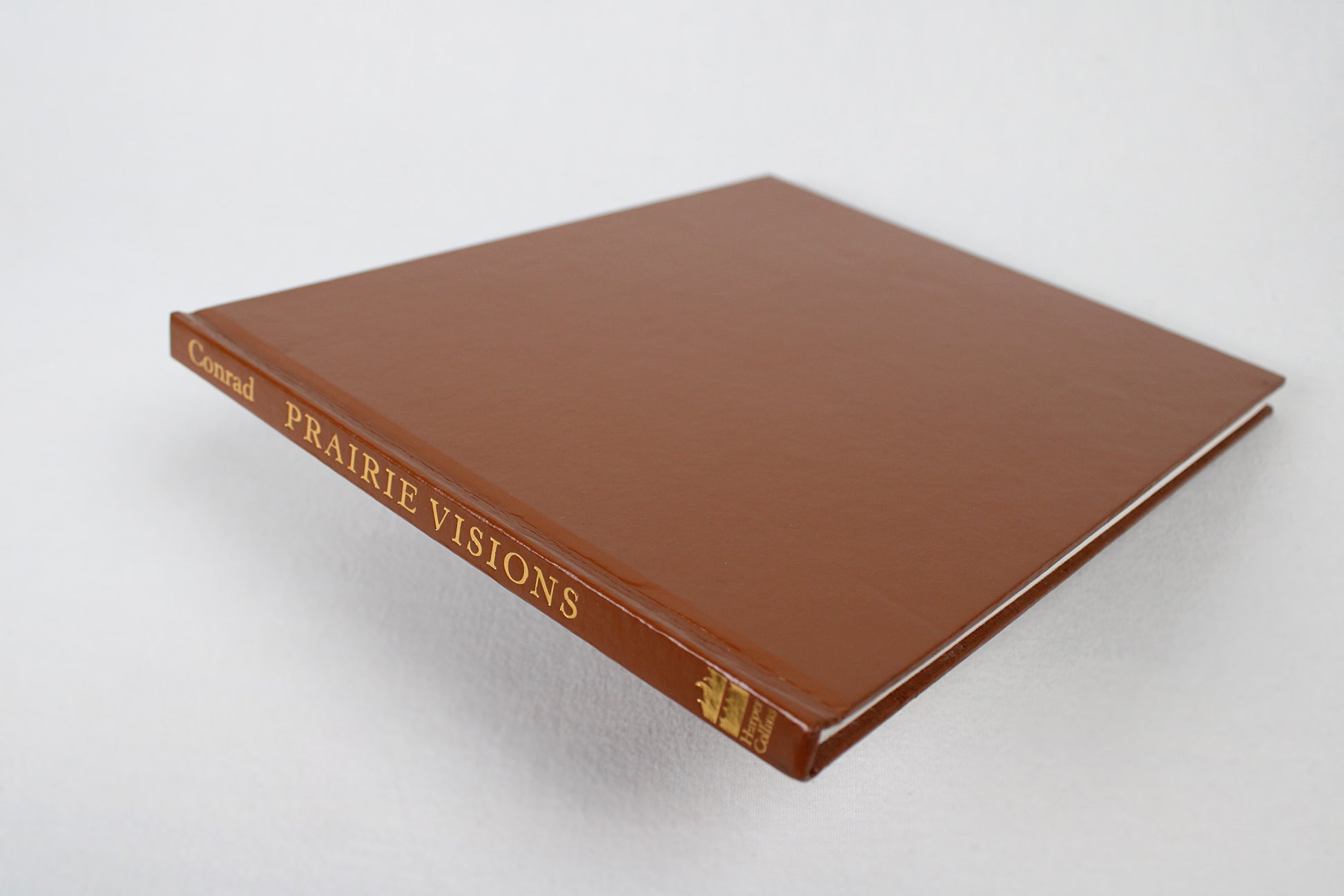 Prairie Visions: The Life and Times of Solomon Butcher