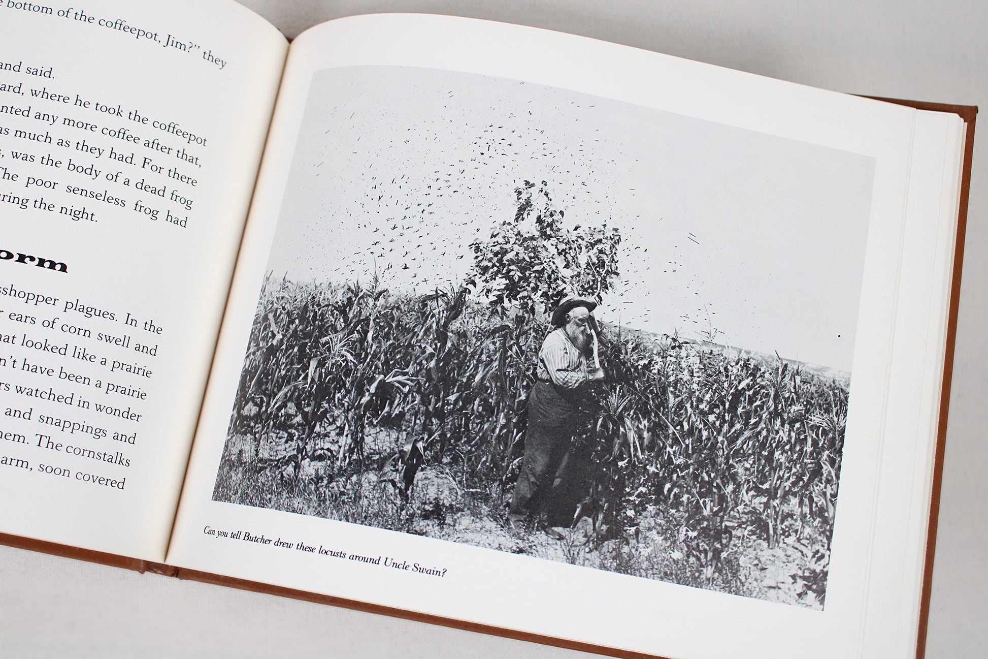 Prairie Visions: The Life and Times of Solomon Butcher