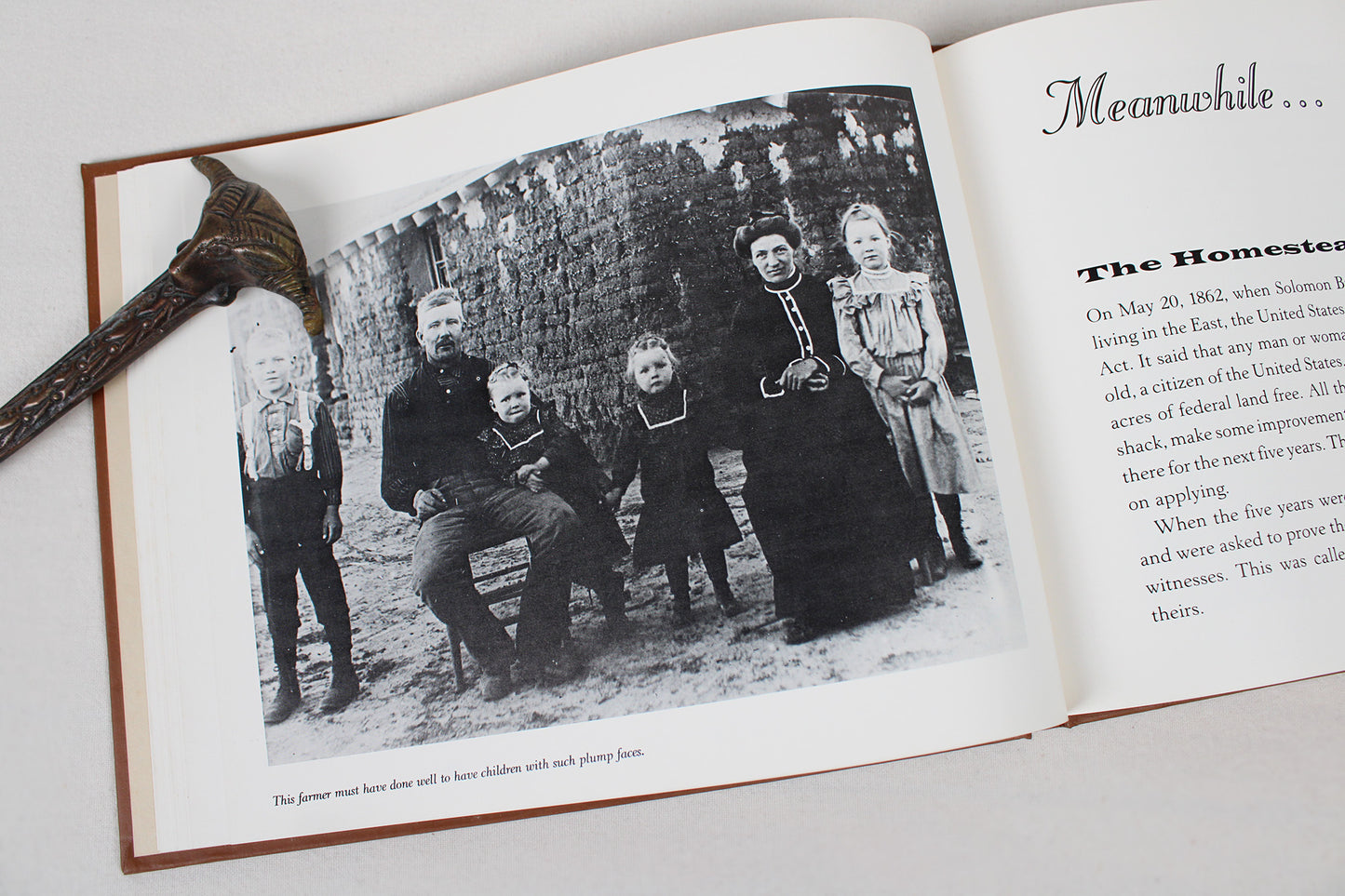 Prairie Visions: The Life and Times of Solomon Butcher