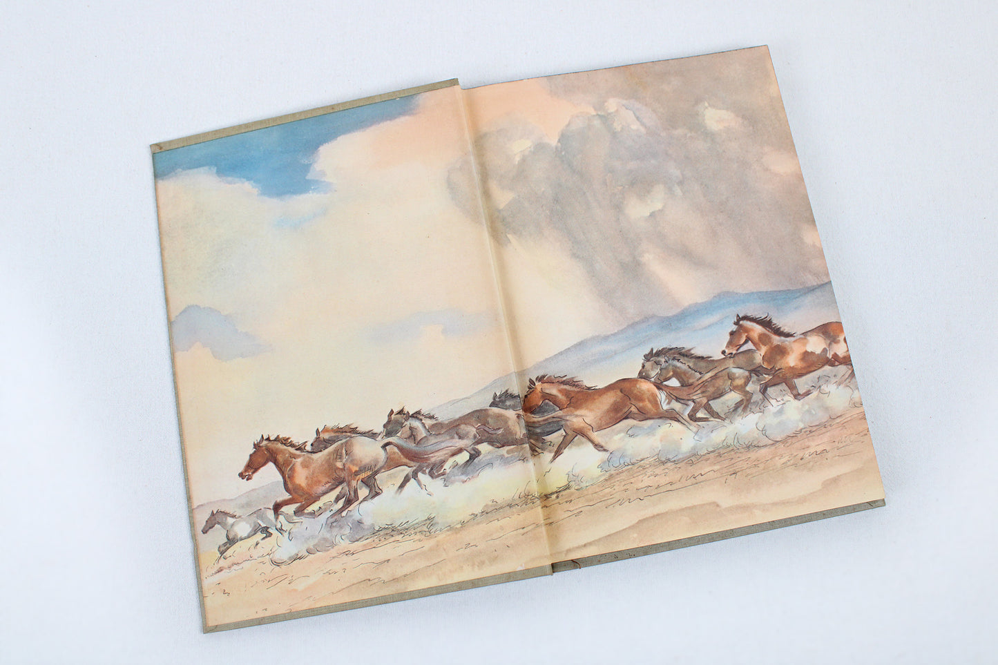 The Red Pony, by John Steinbeck (Illustrated by Wesley Dennis)