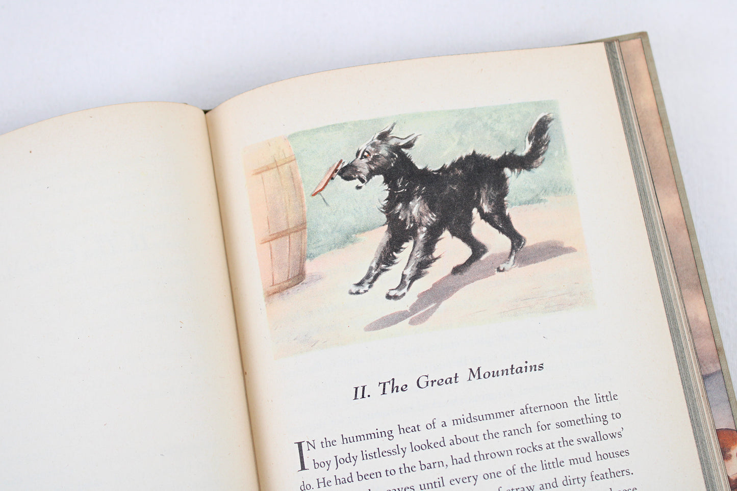 The Red Pony, by John Steinbeck (Illustrated by Wesley Dennis)