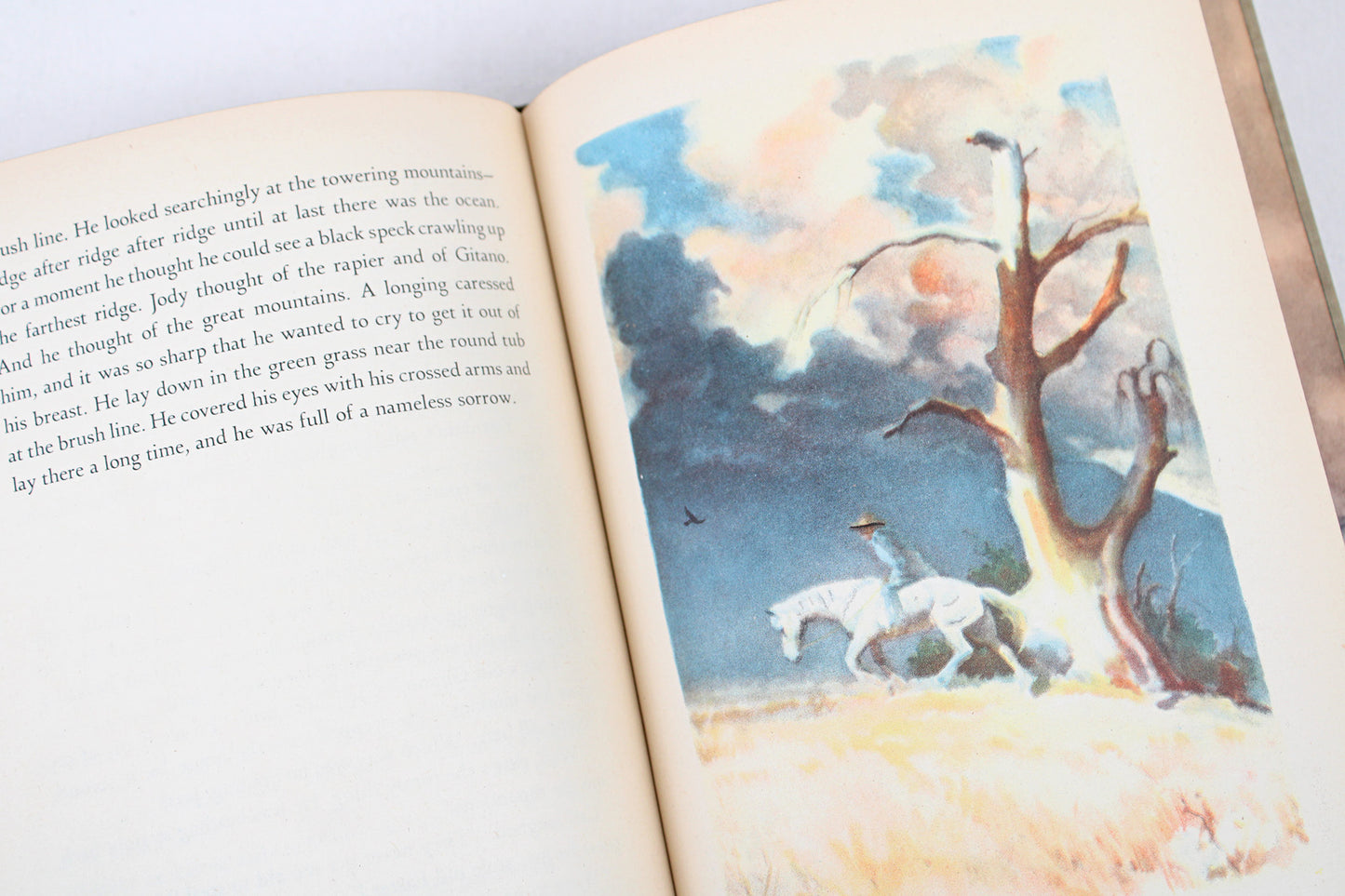 The Red Pony, by John Steinbeck (Illustrated by Wesley Dennis)