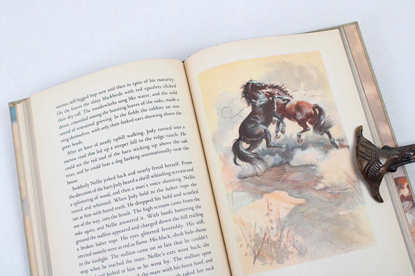 The Red Pony, by John Steinbeck (Illustrated by Wesley Dennis)