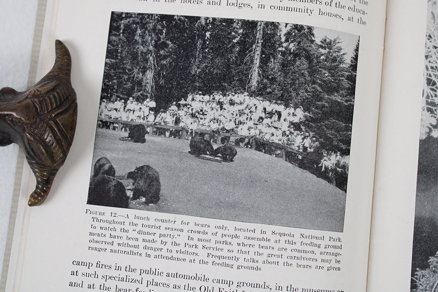 Research and Education in the National Parks Guidebook, 1932