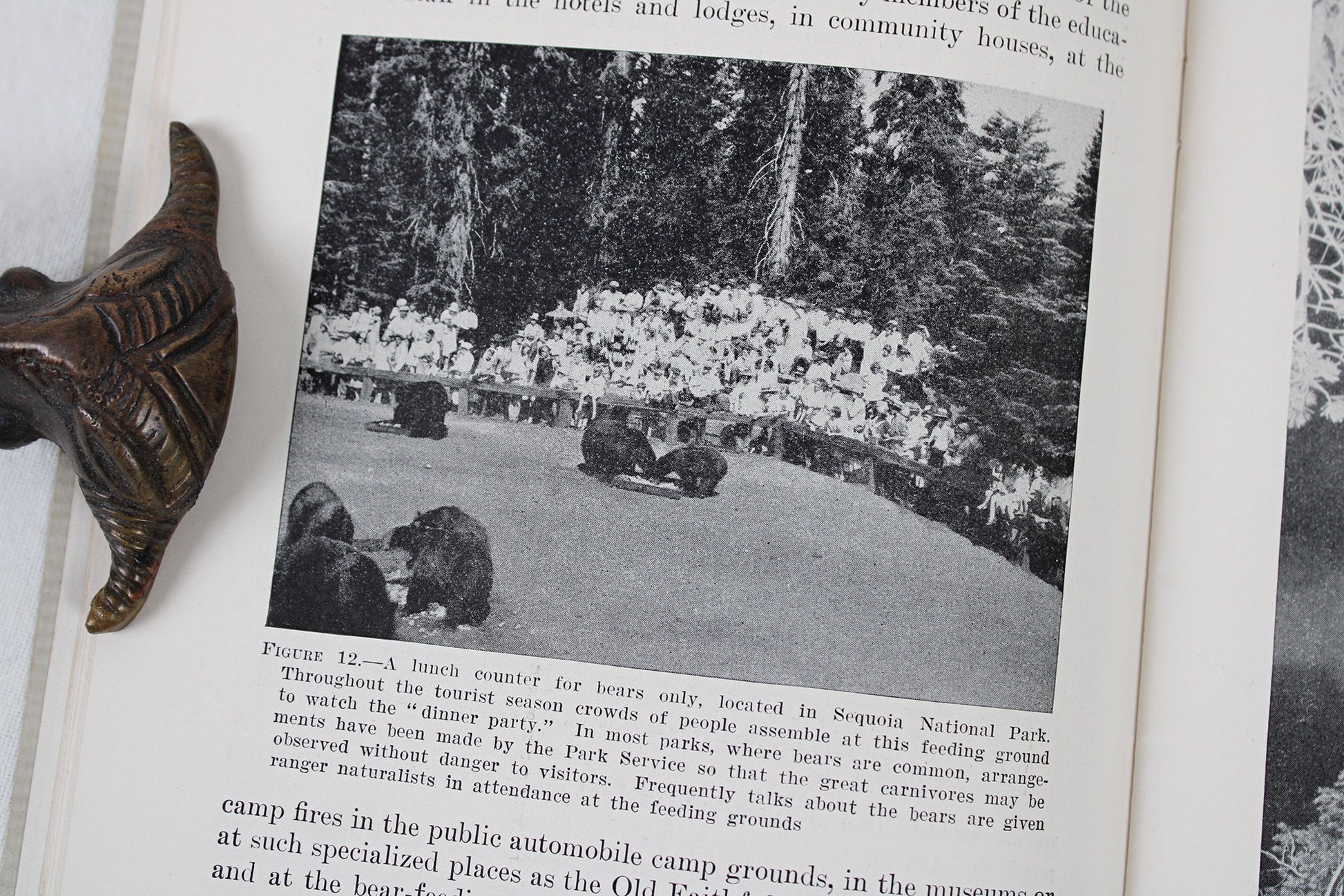 Research and Education in the National Parks Guidebook, 1932
