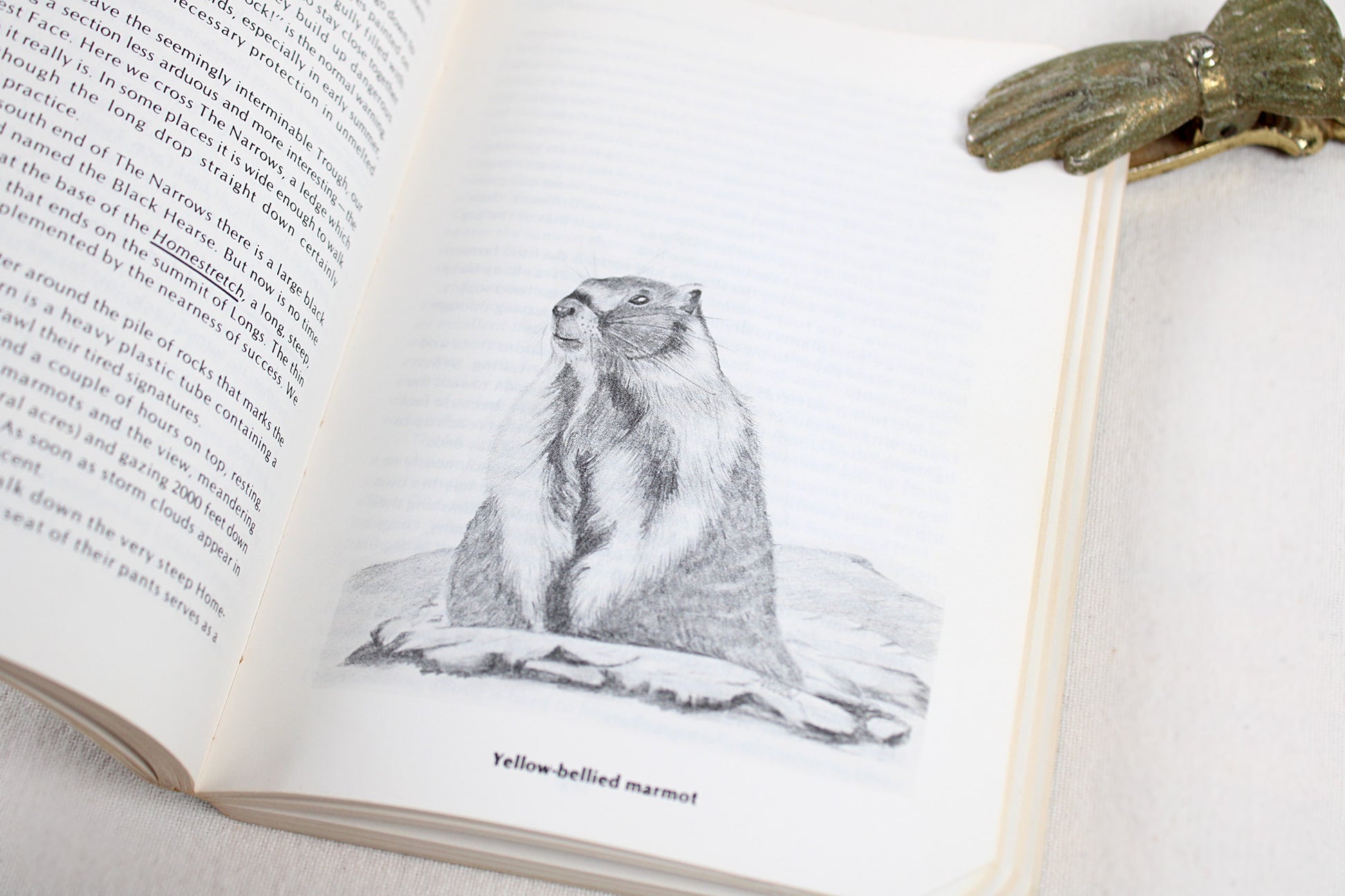 Rocky Mountain National Park Hiking Trails