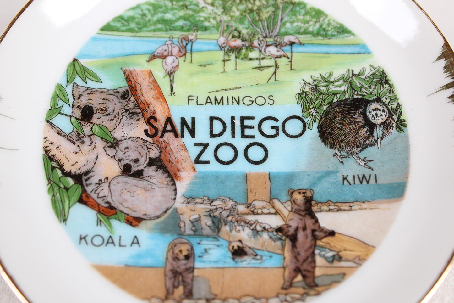 San Diego Zoo Small Souvenir Plate