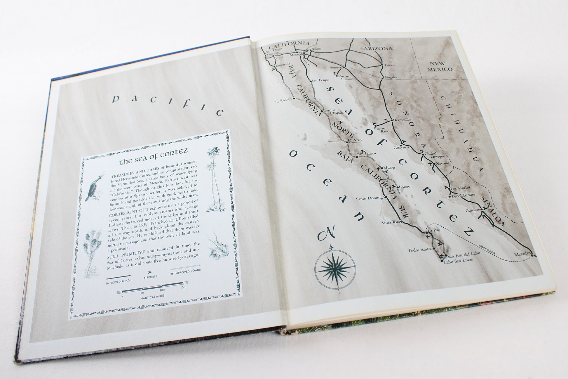 The Sea of Cortez: Gulf of California, Baja, Mainland Coast / Mexico’s Primitive Frontier