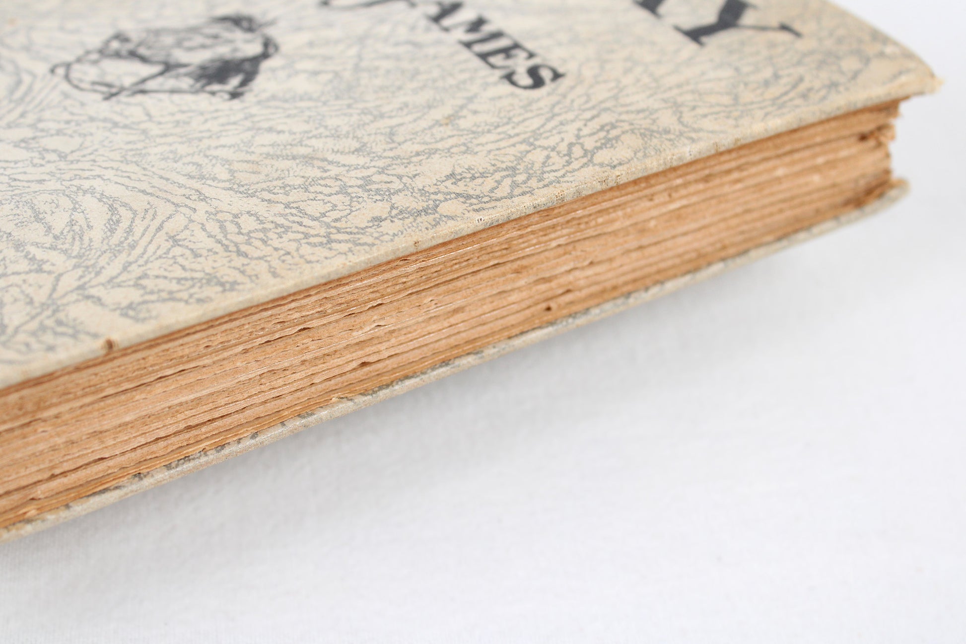 Smoky The Cowhorse, by Will James