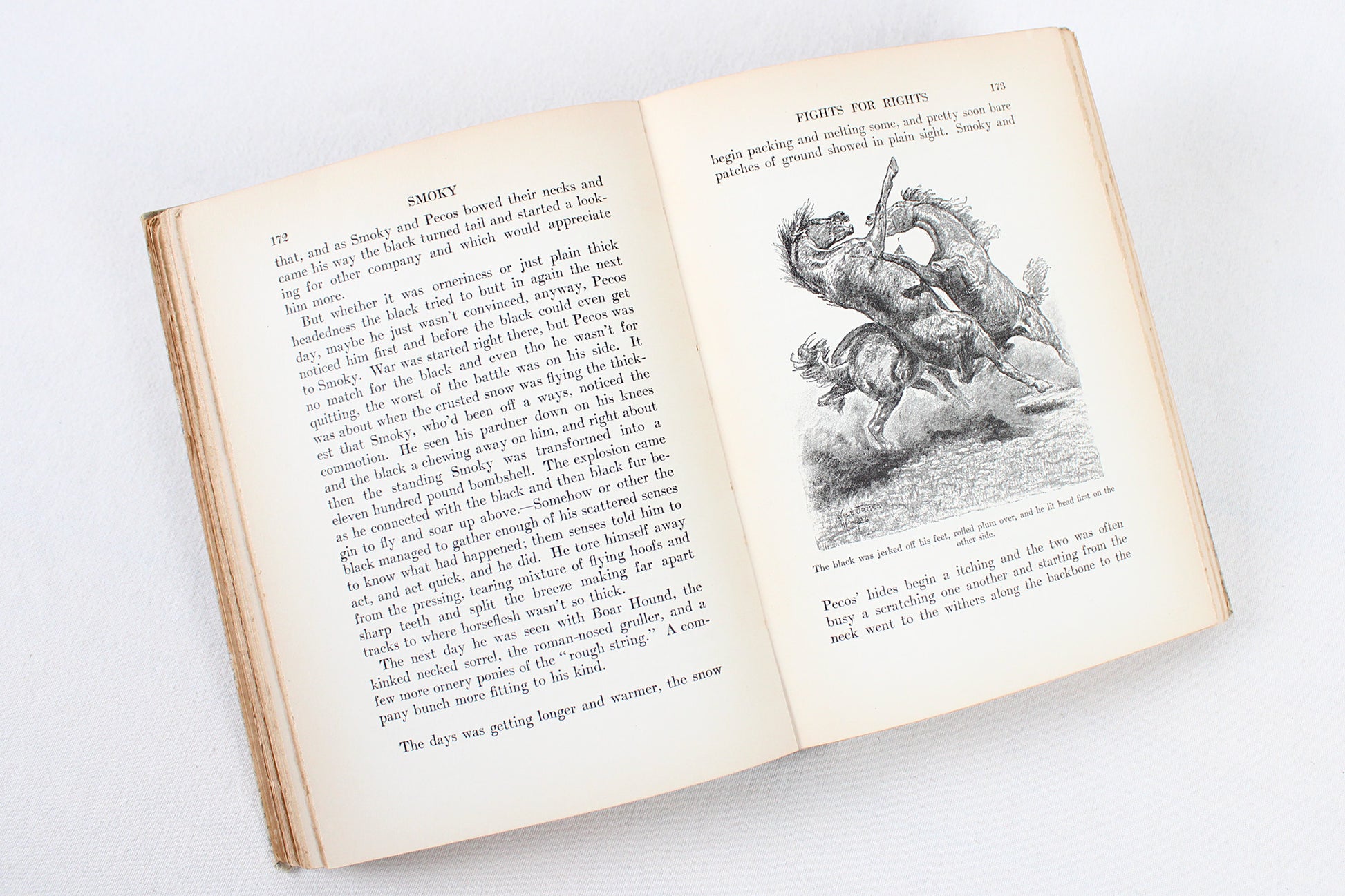 Smoky The Cowhorse, by Will James