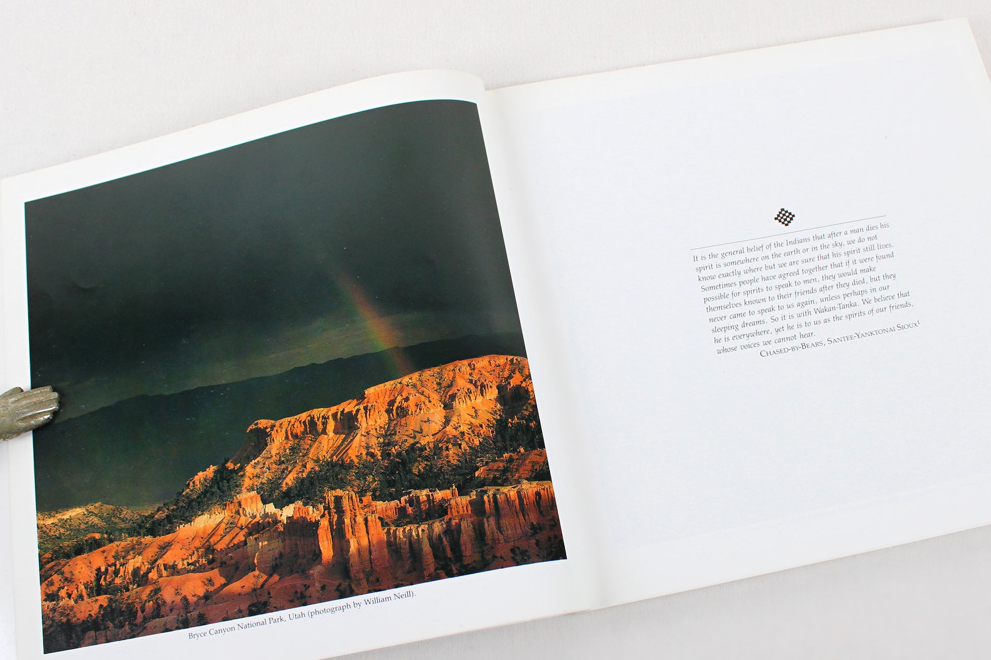 The Spirit of Native America: Beauty and Mysticism in American Indian Art, by Anna Lee Walters