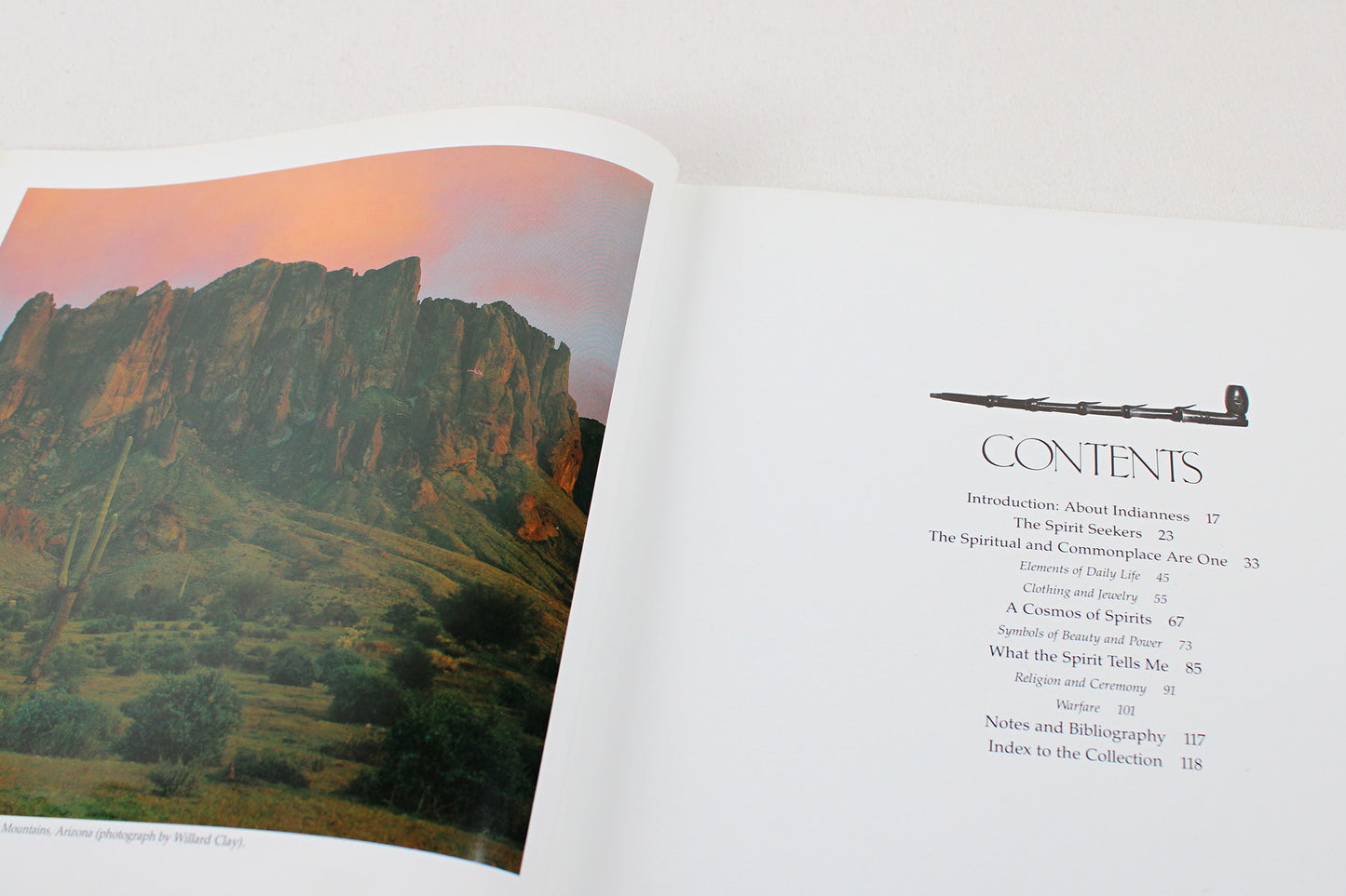 The Spirit of Native America: Beauty and Mysticism in American Indian Art, by Anna Lee Walters