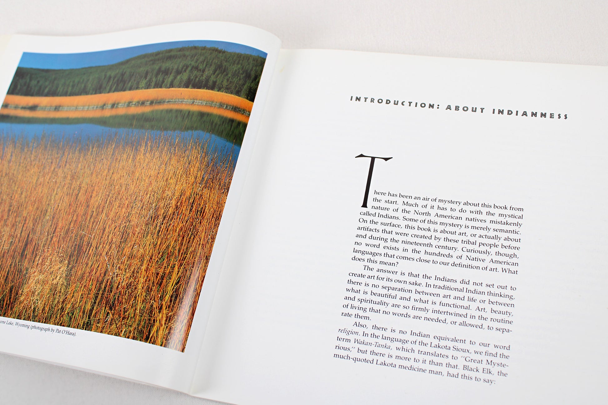 The Spirit of Native America: Beauty and Mysticism in American Indian Art, by Anna Lee Walters