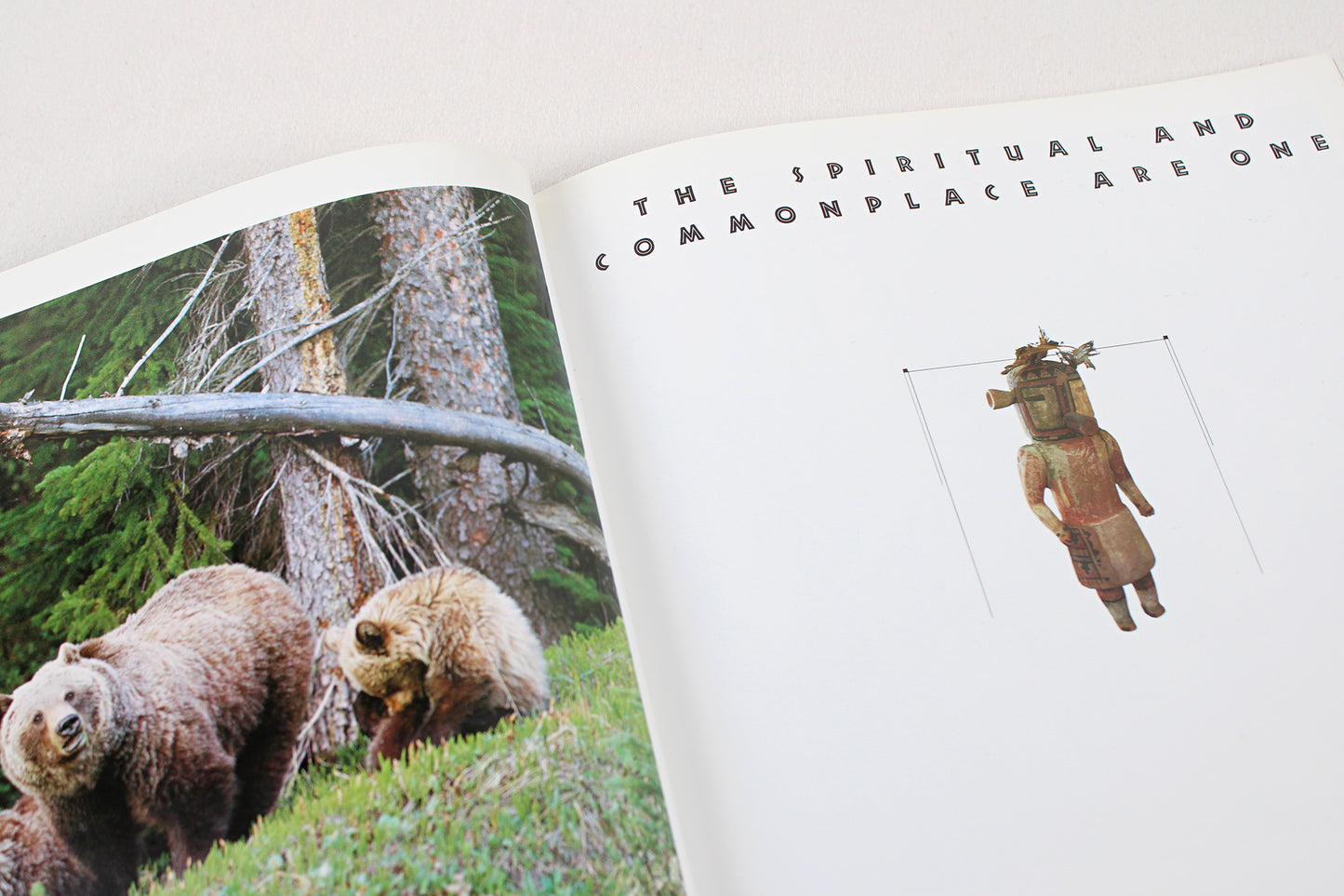 The Spirit of Native America: Beauty and Mysticism in American Indian Art, by Anna Lee Walters