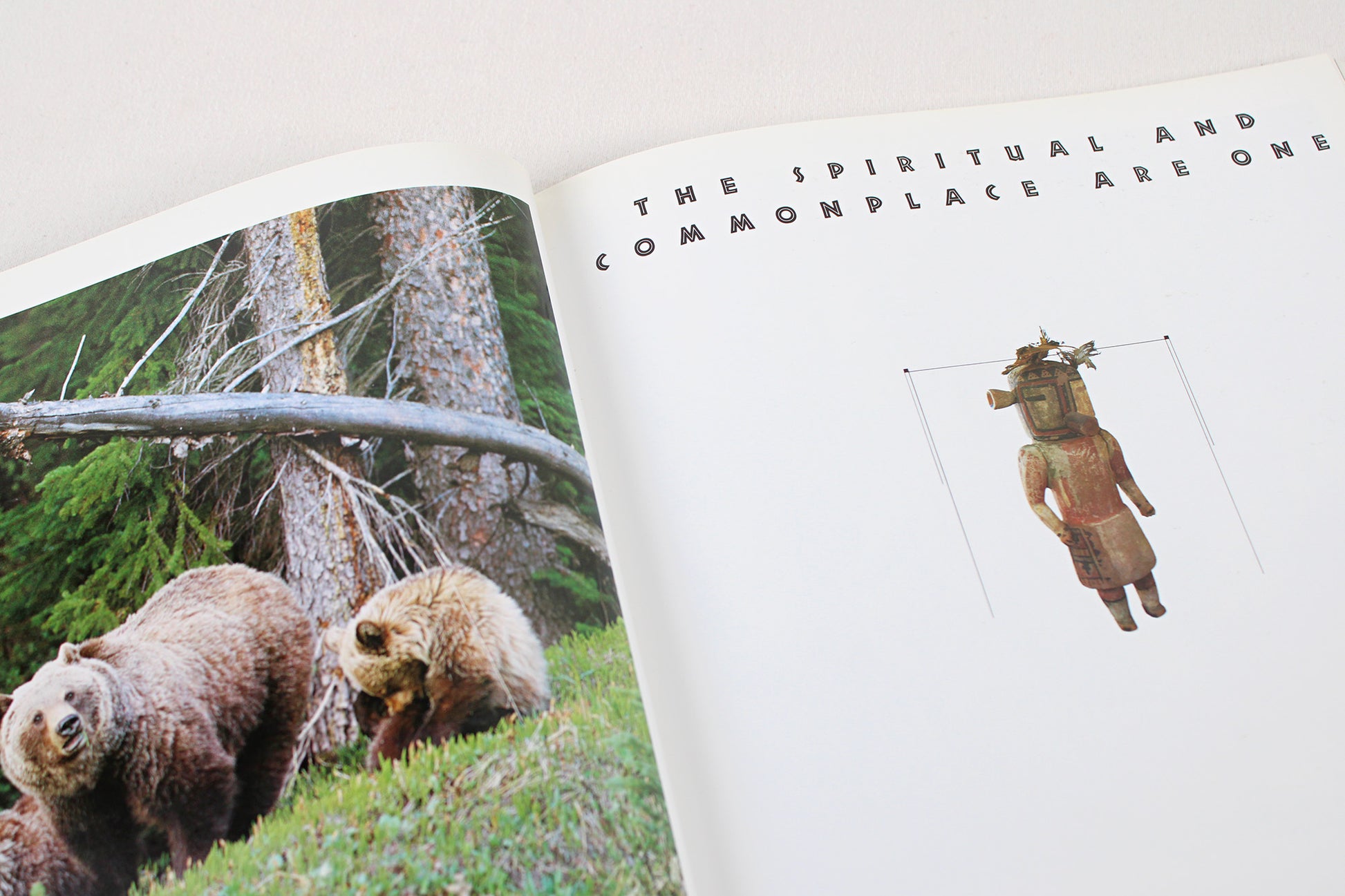 The Spirit of Native America: Beauty and Mysticism in American Indian Art, by Anna Lee Walters