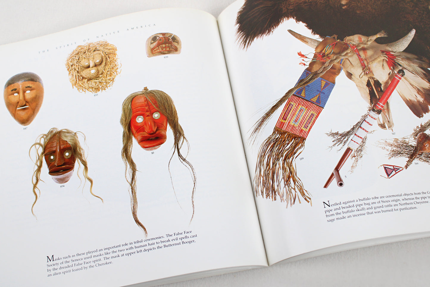 The Spirit of Native America: Beauty and Mysticism in American Indian Art, by Anna Lee Walters