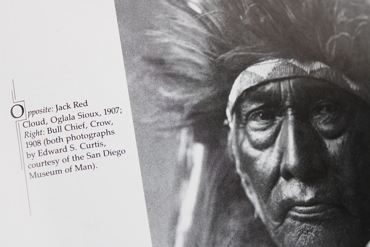 The Spirit of Native America: Beauty and Mysticism in American Indian Art, by Anna Lee Walters