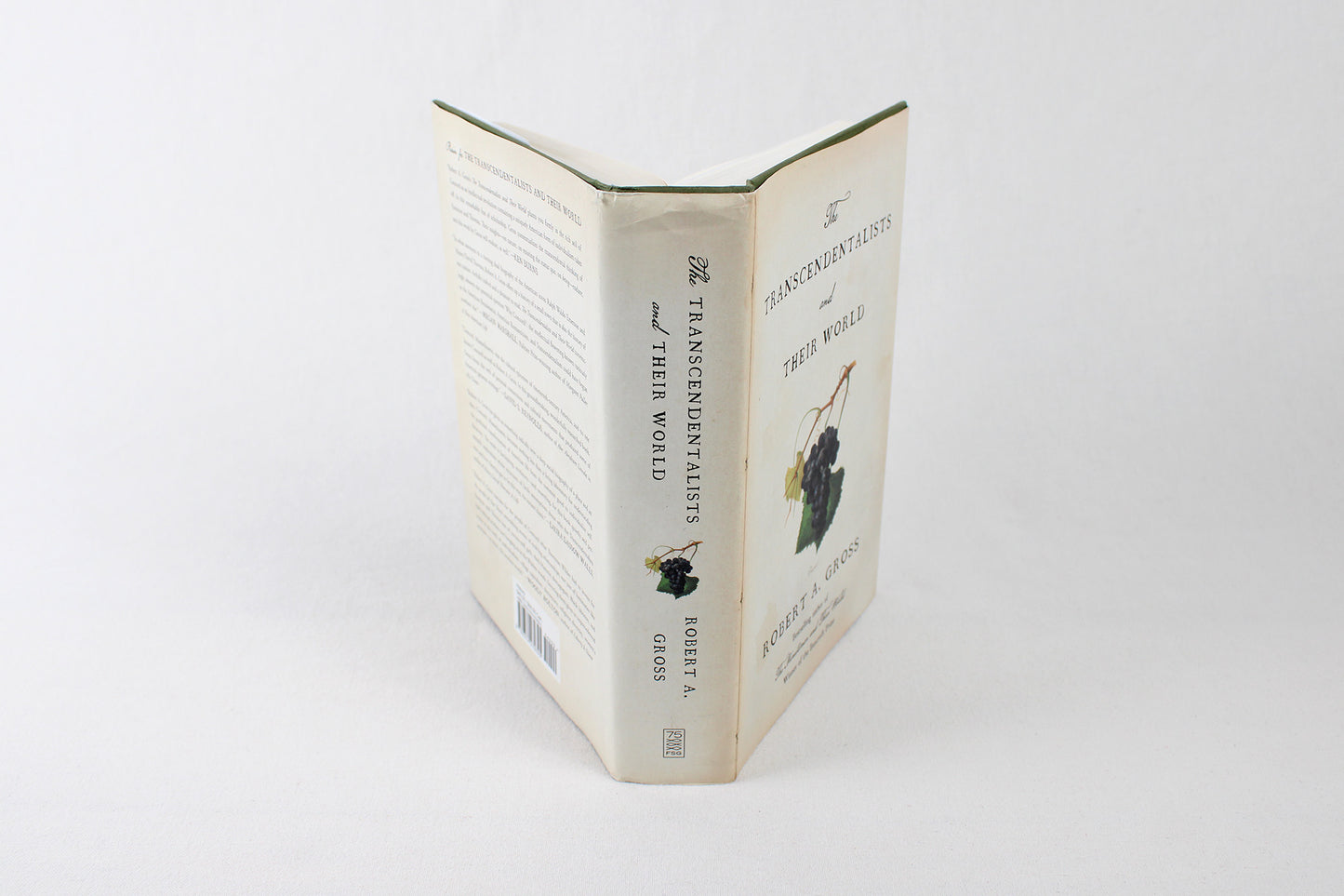 The Transcendentalists and Their World, by Robert A. Gross