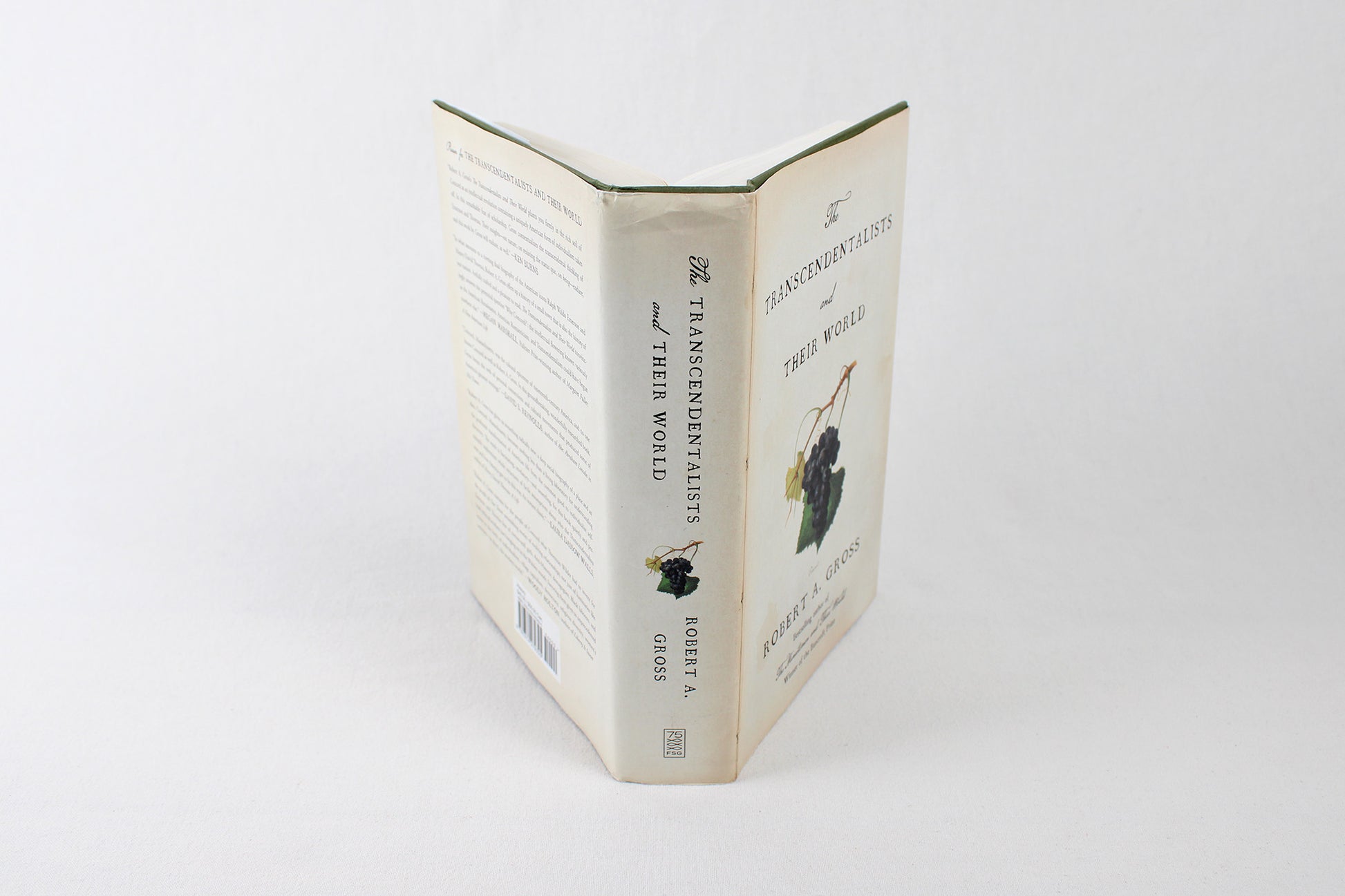 The Transcendentalists and Their World, by Robert A. Gross