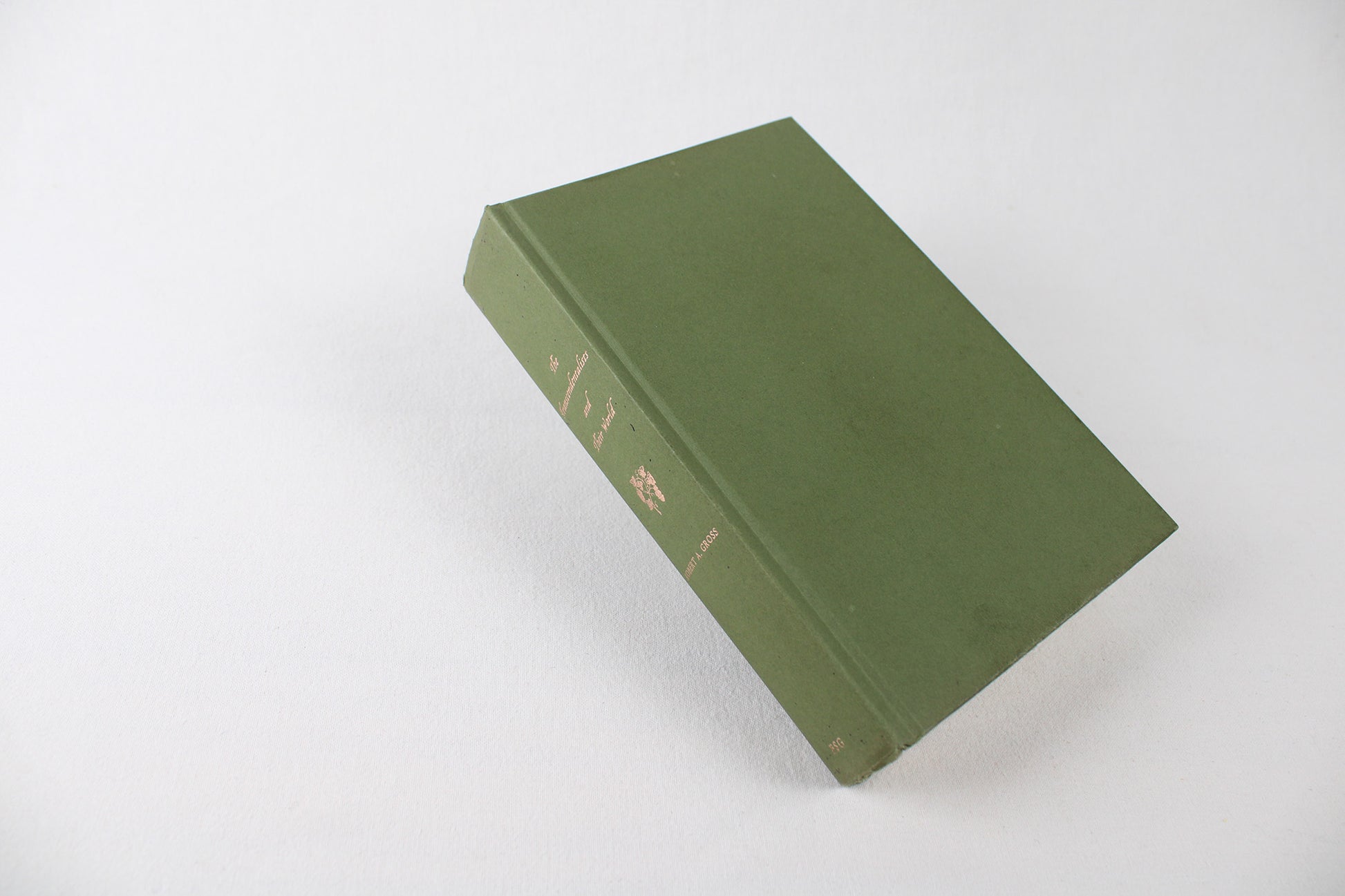 The Transcendentalists and Their World, by Robert A. Gross