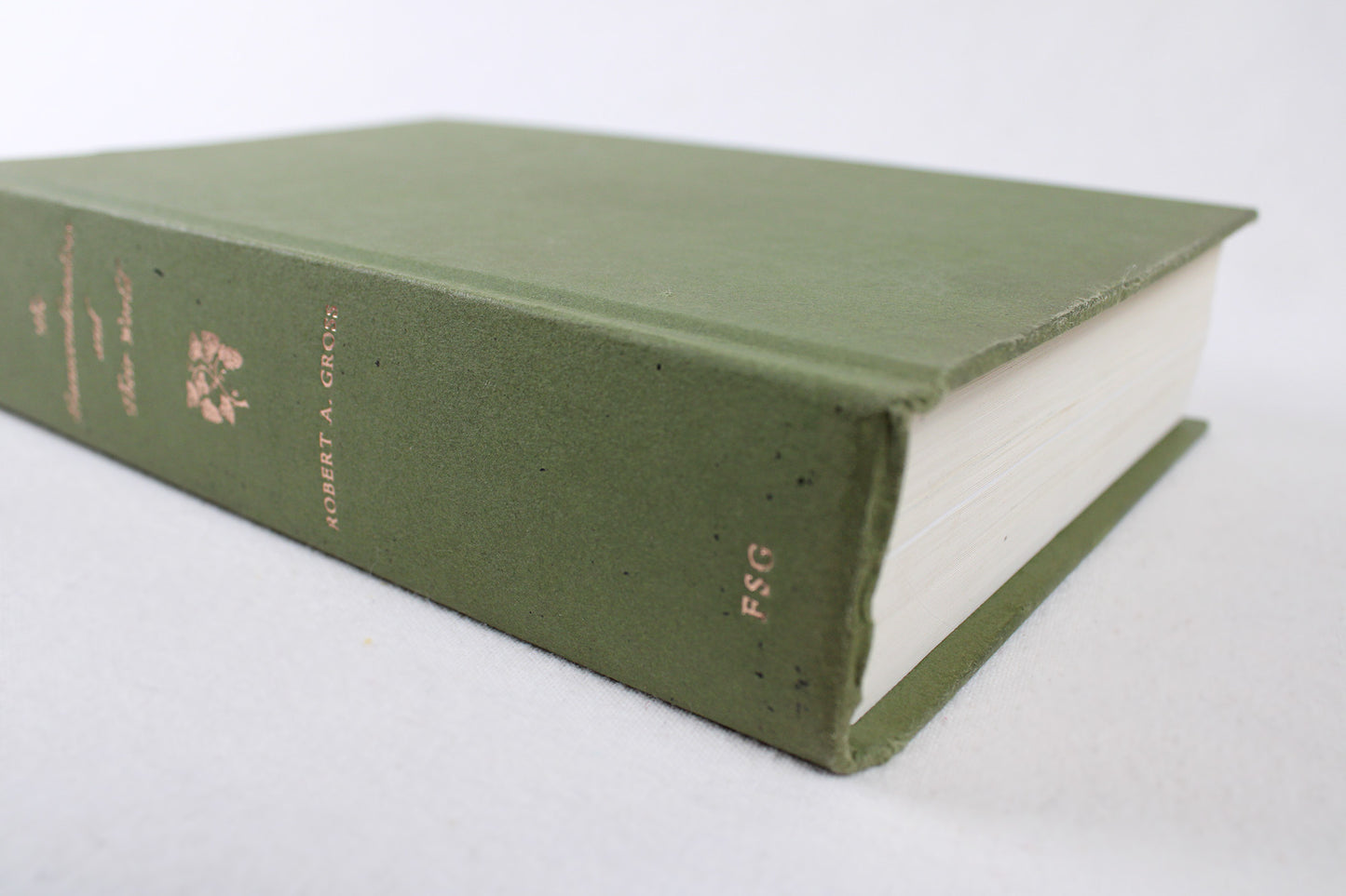 The Transcendentalists and Their World, by Robert A. Gross