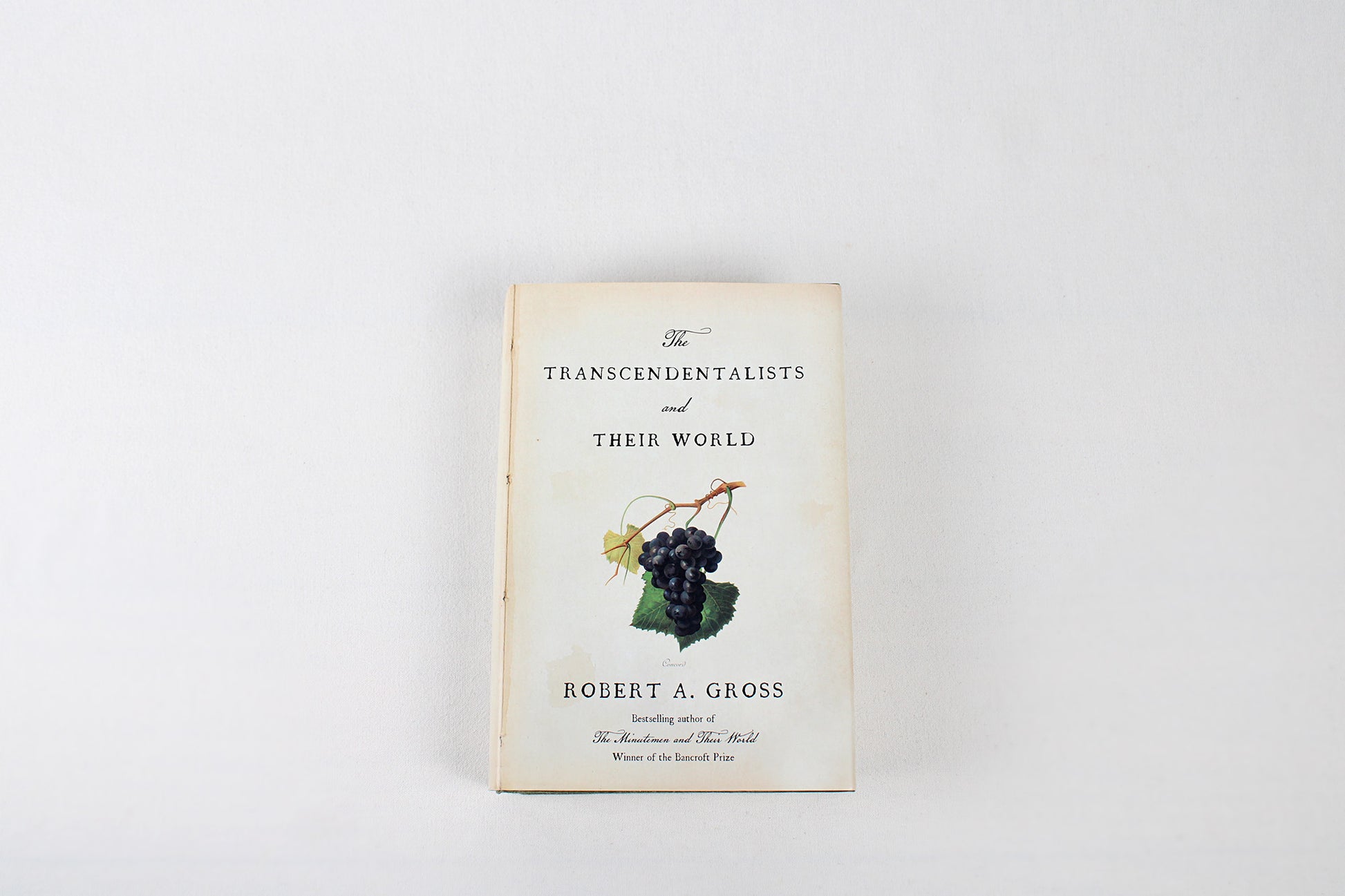 The Transcendentalists and Their World, by Robert A. Gross