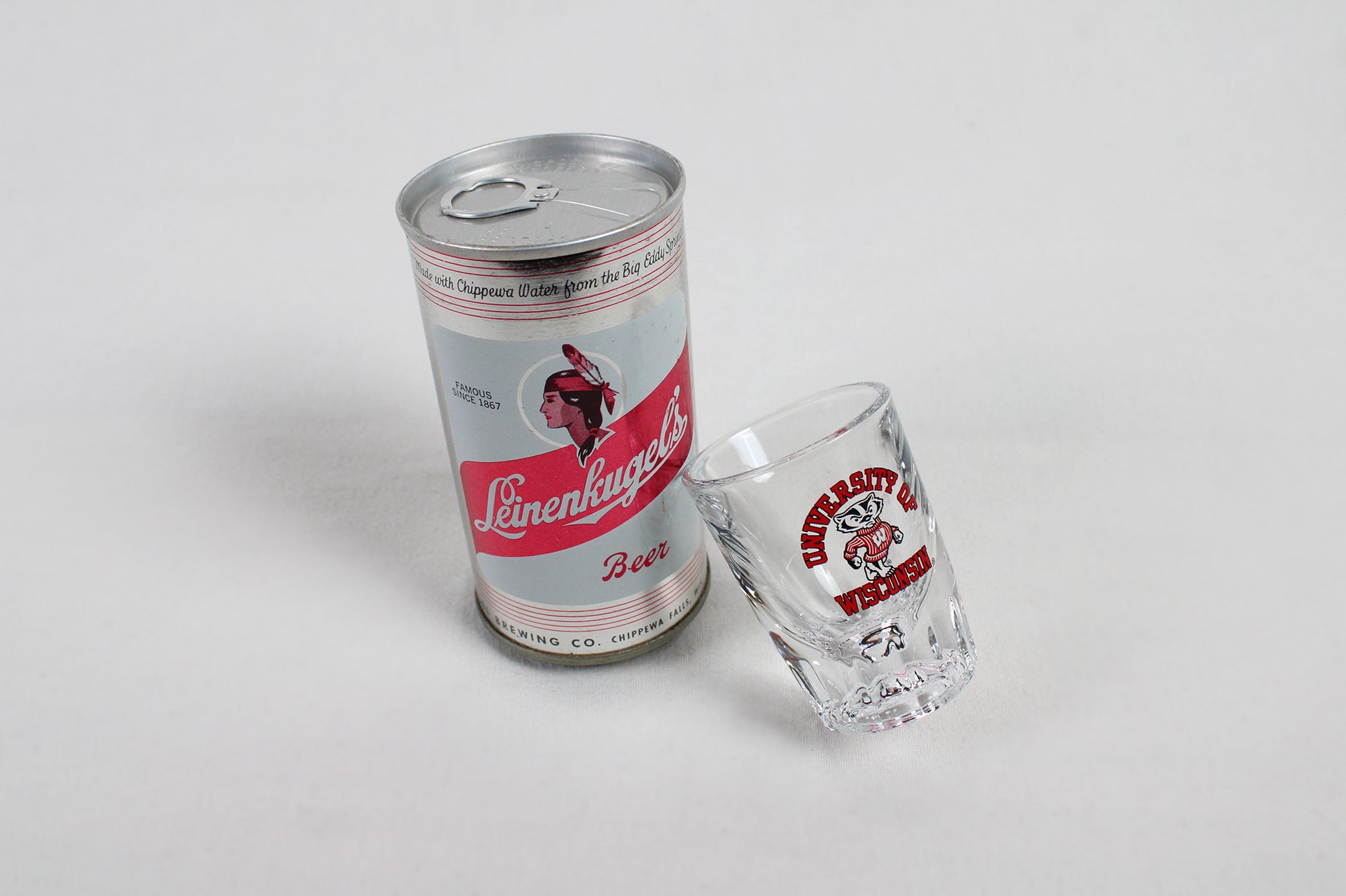 University of Wisconsin Bucky The Badger Prism Shot Glass
