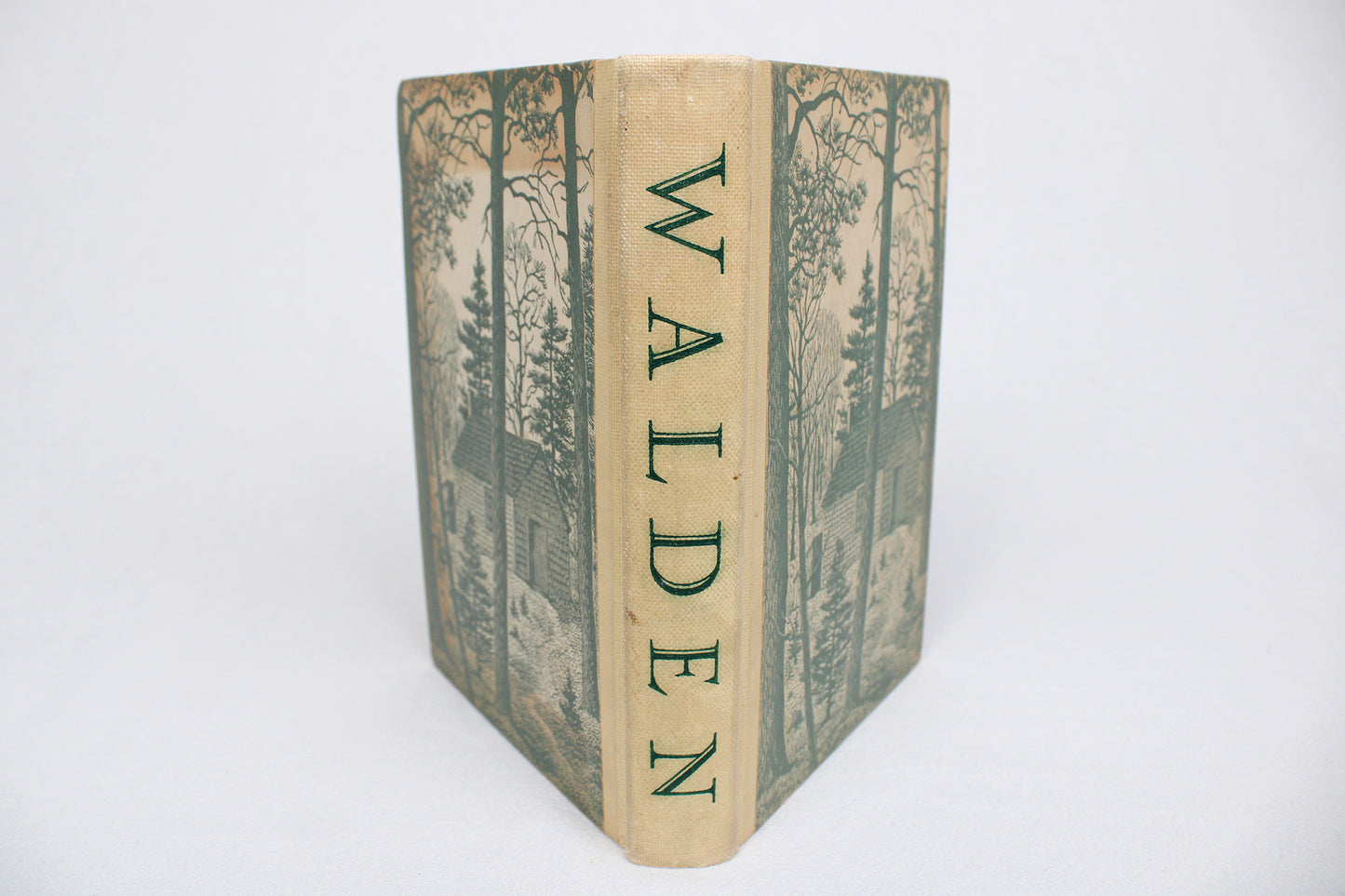 Walden, or Life in the Woods, By Henry David Thoreau