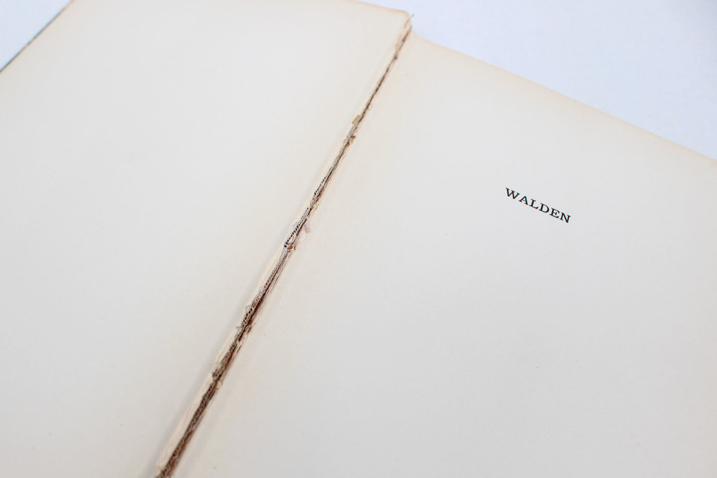 Walden, or Life in the Woods, By Henry David Thoreau