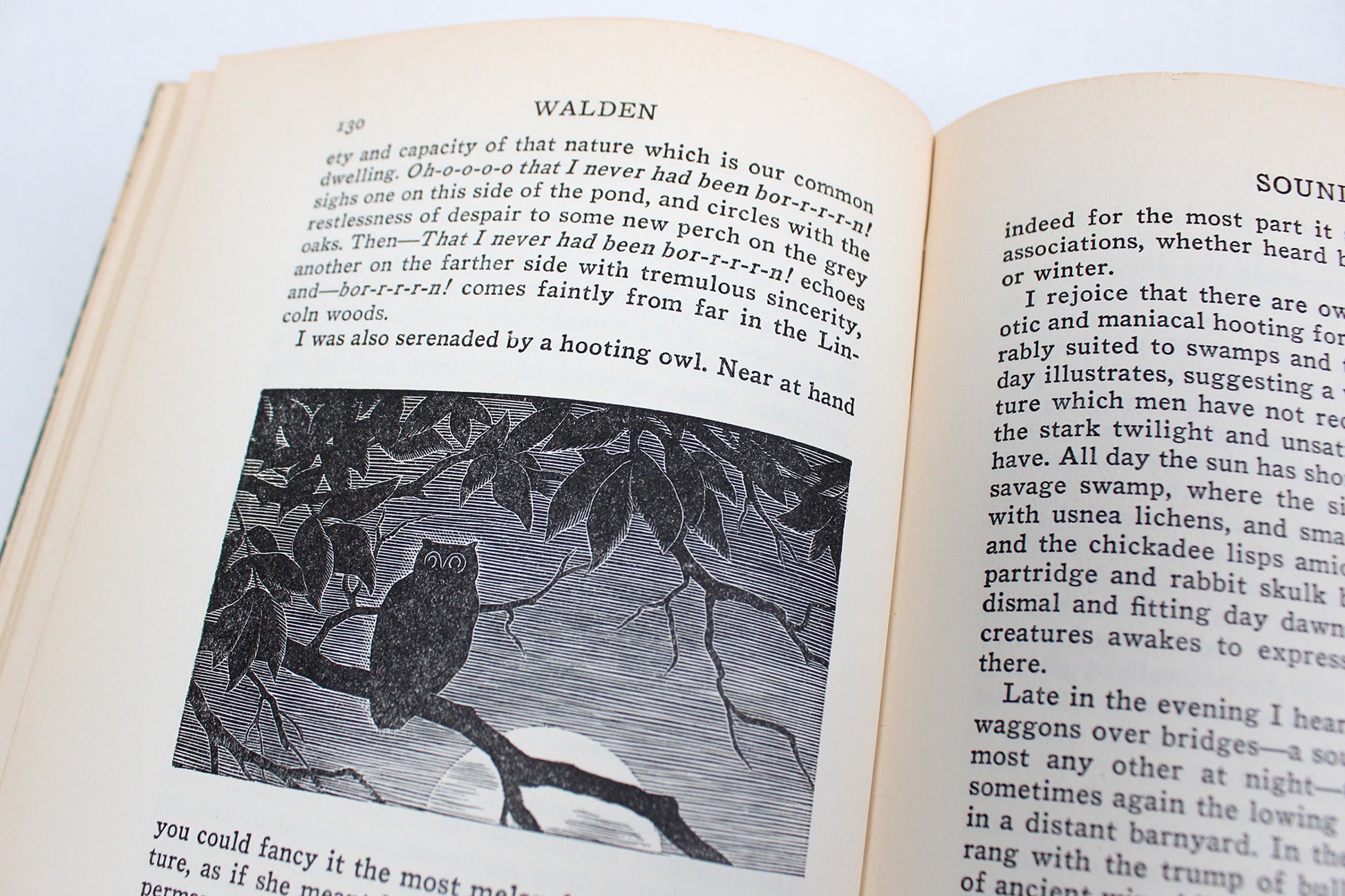 Walden, or Life in the Woods, By Henry David Thoreau