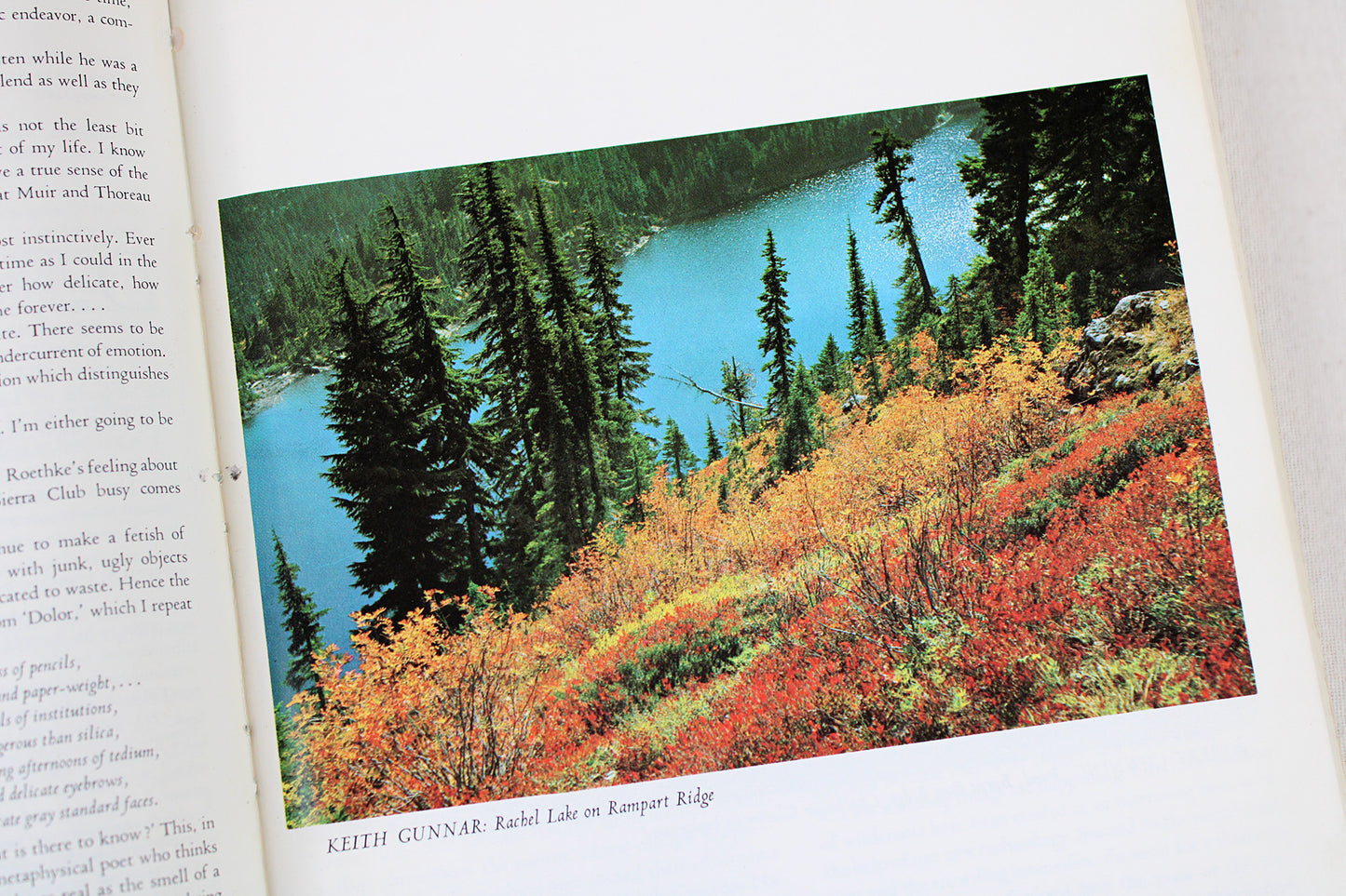 The Wild Cascades / Forgotten Parkland