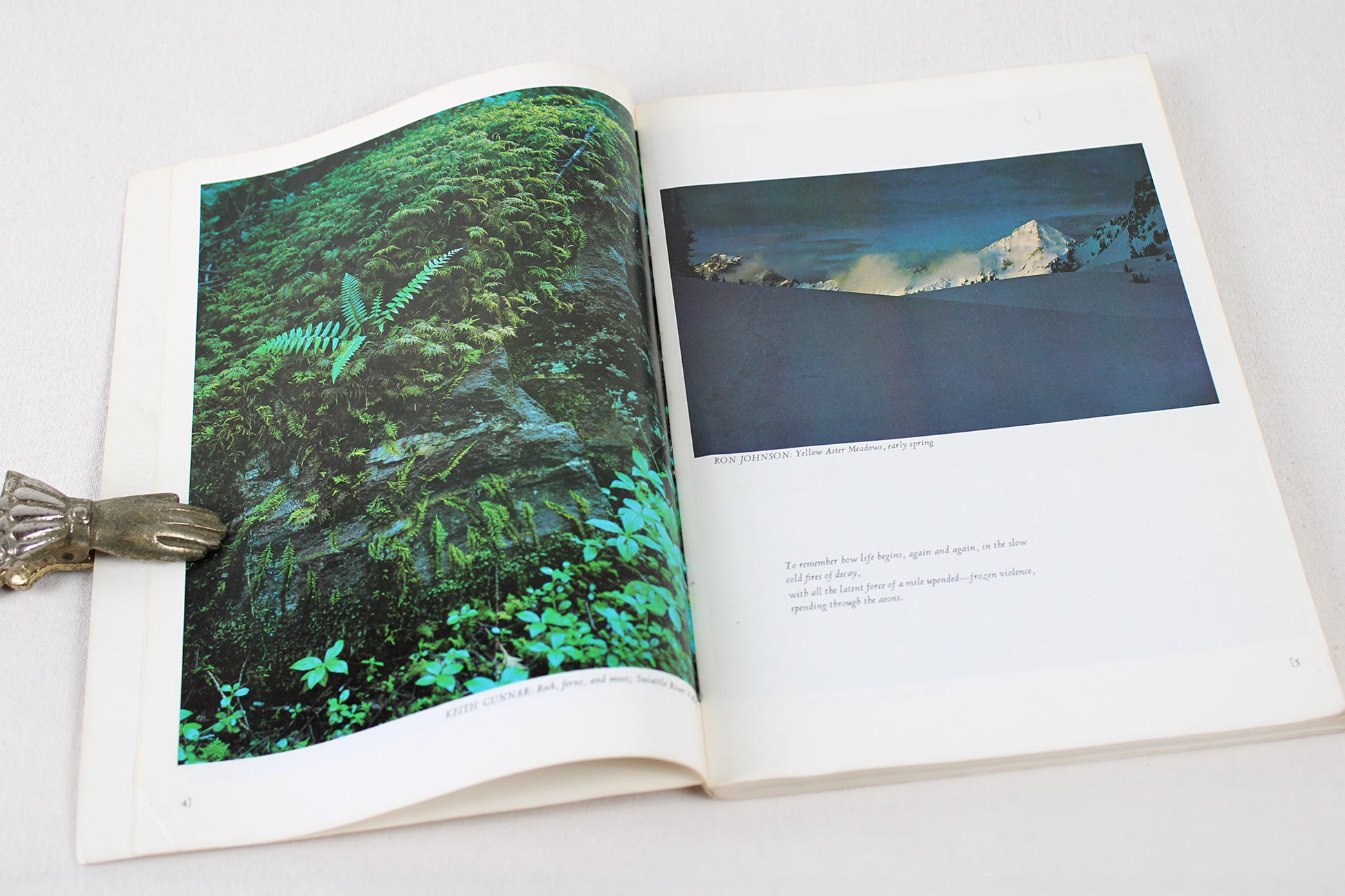 The Wild Cascades / Forgotten Parkland