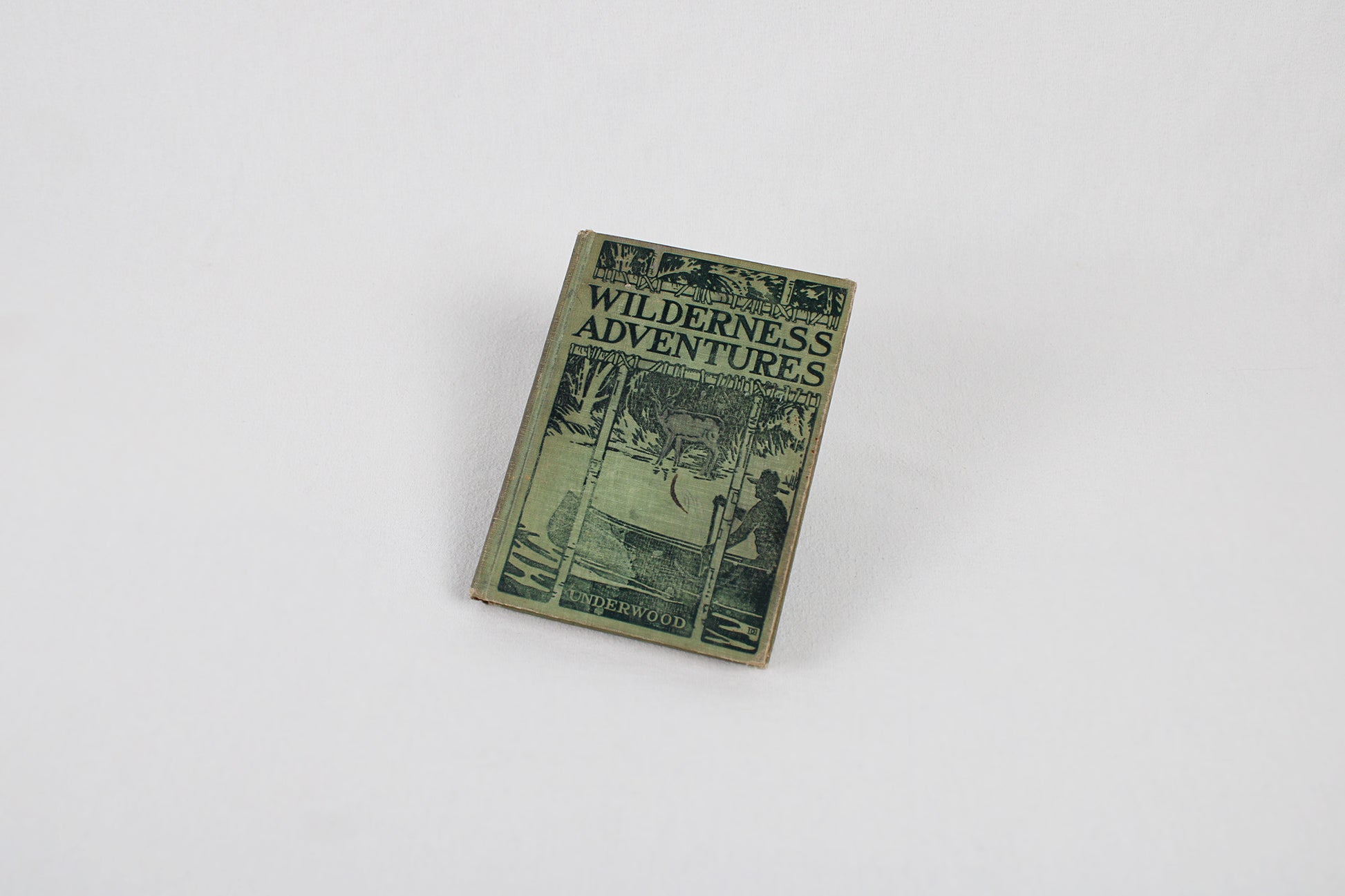 Wilderness Adventures, by William Lyman Underwood