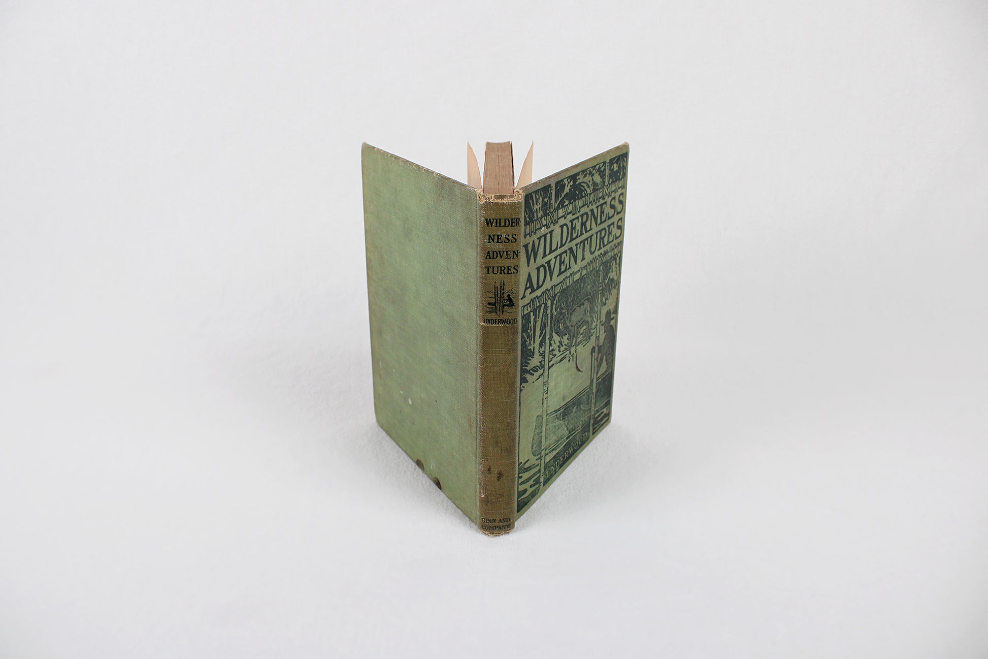 Wilderness Adventures, by William Lyman Underwood