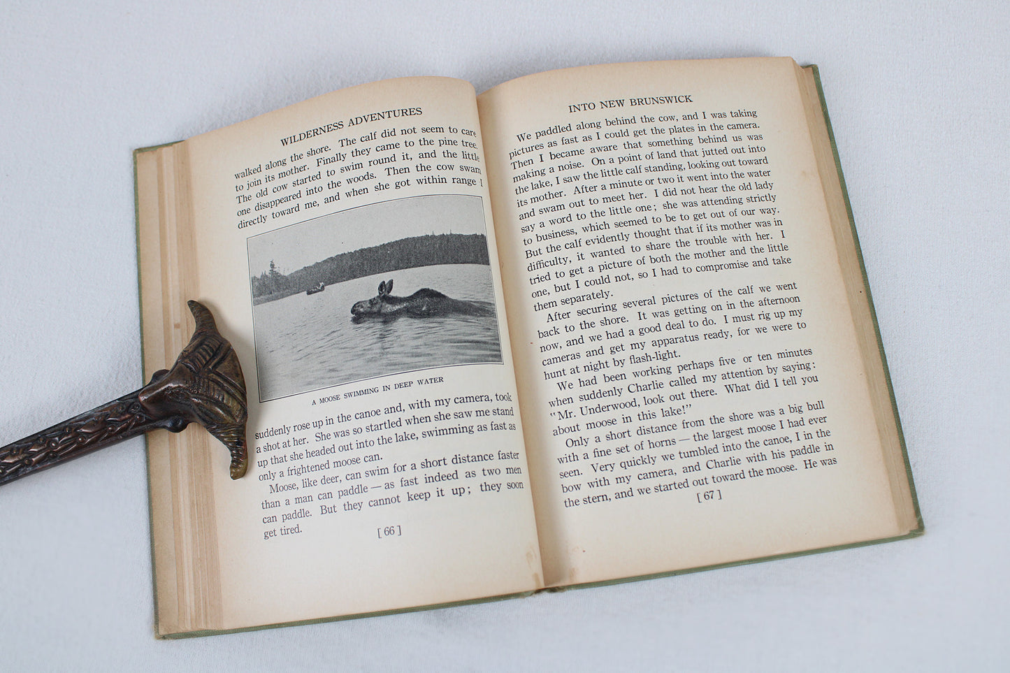 Wilderness Adventures, by William Lyman Underwood