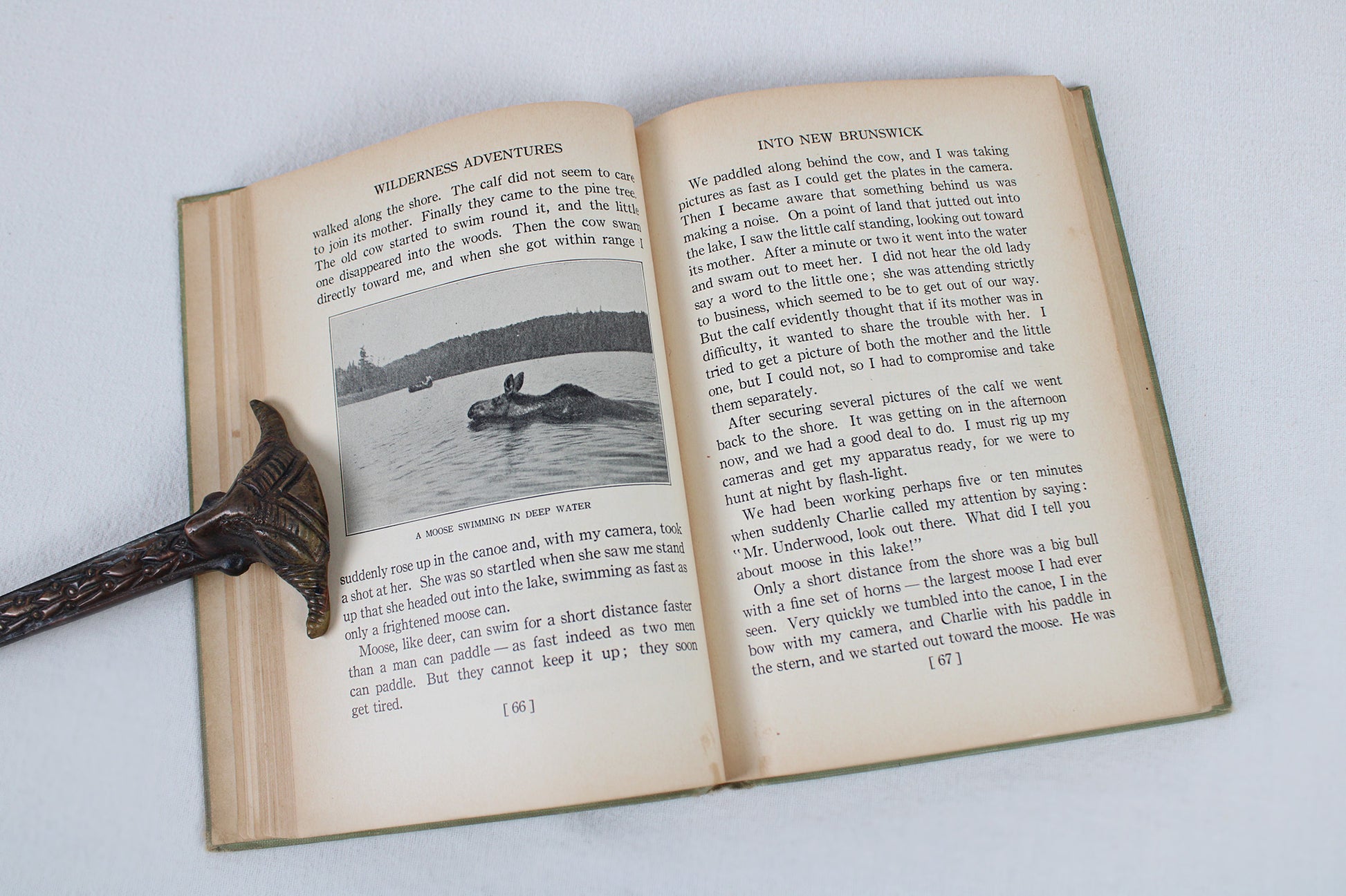 Wilderness Adventures, by William Lyman Underwood