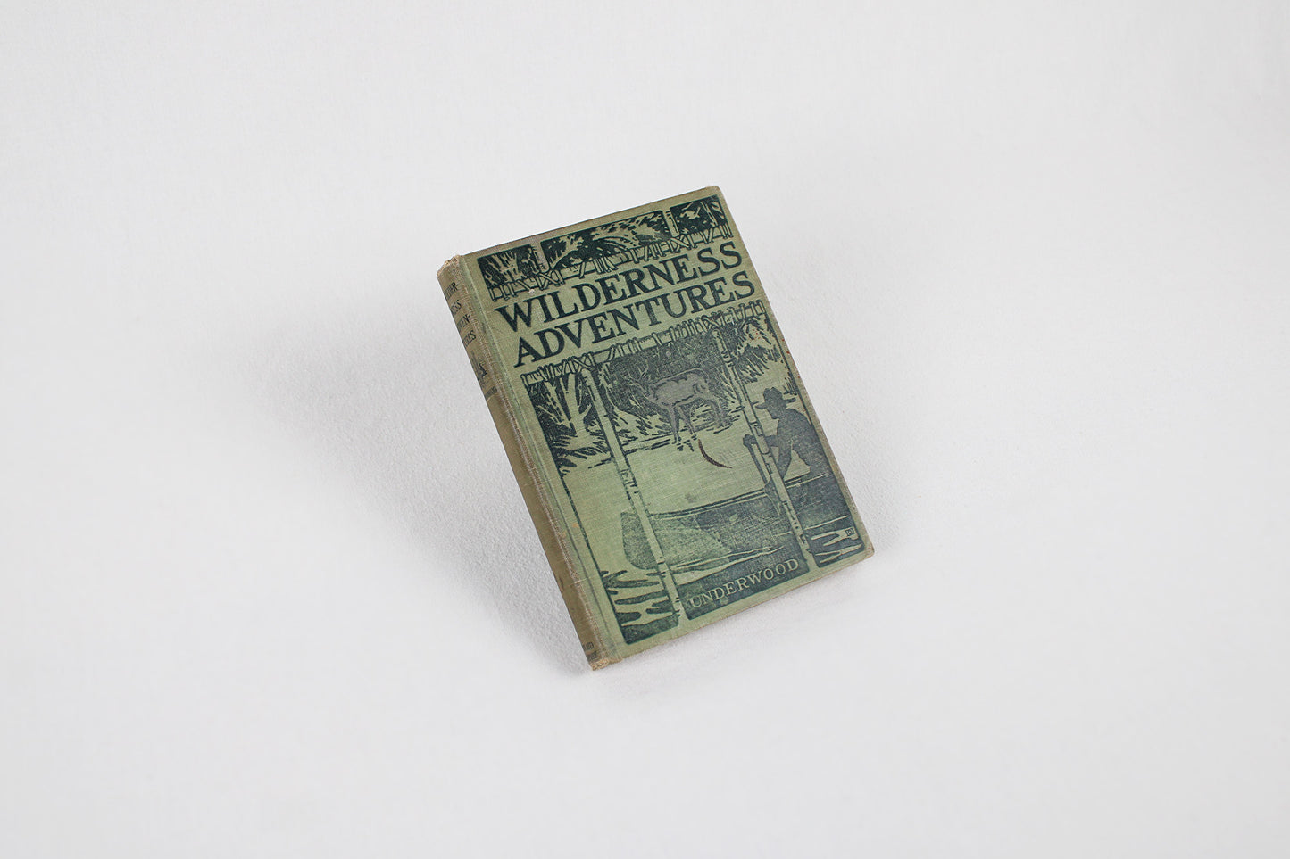 Wilderness Adventures, by William Lyman Underwood